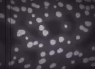 Cooperating microbial clusters in a flowing pipe