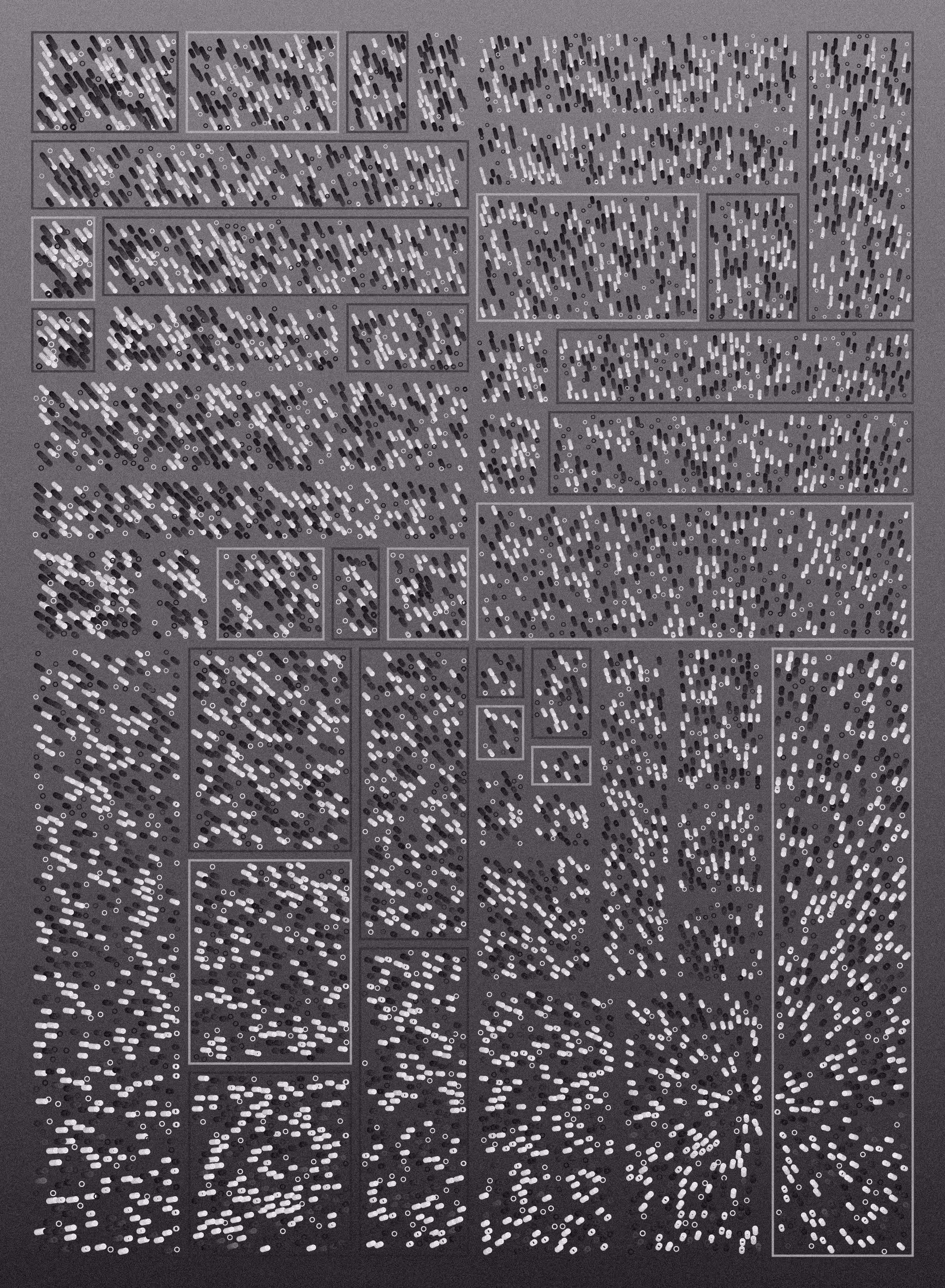 Sugar & Splice #229