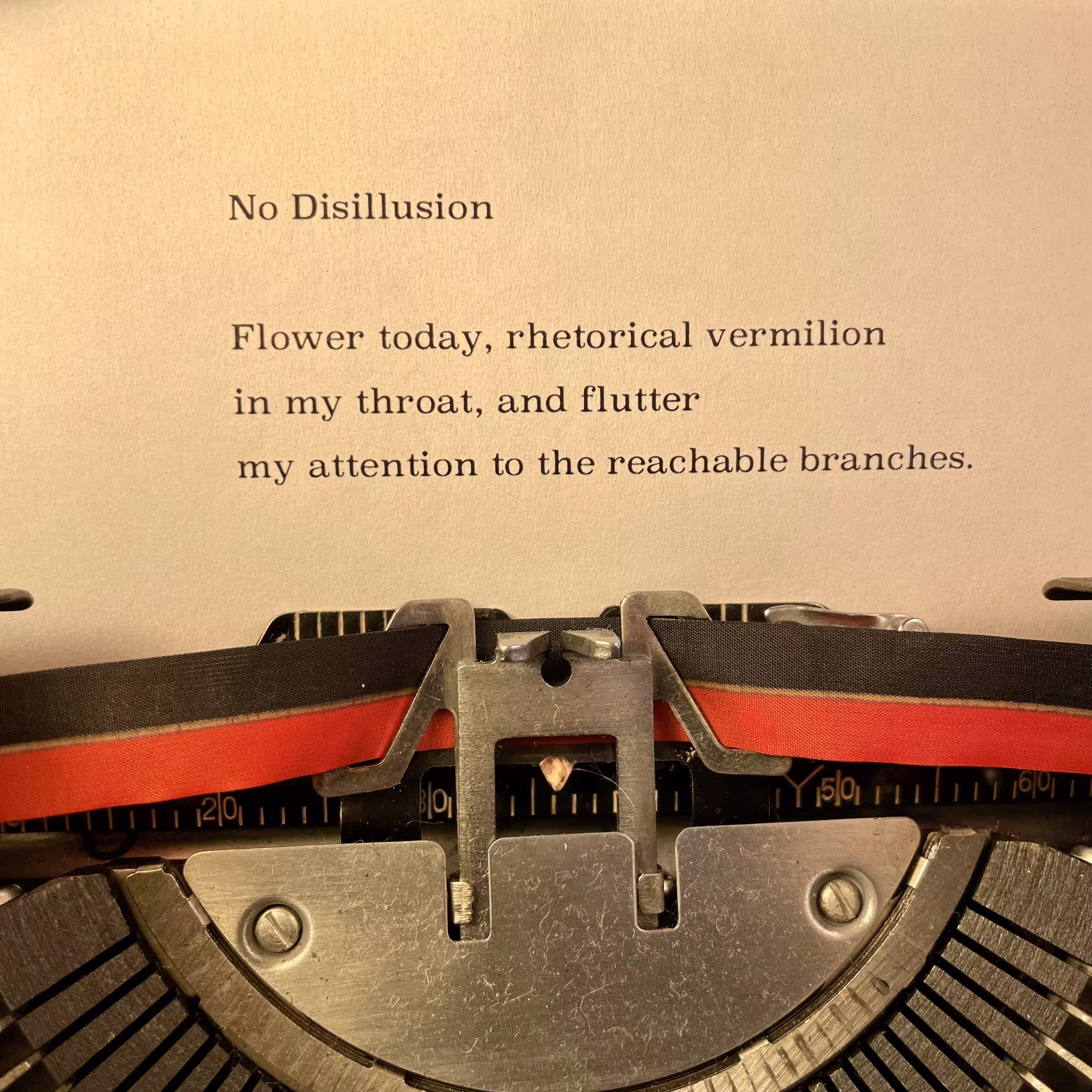 Love Poem Tercets: No Disillusion
