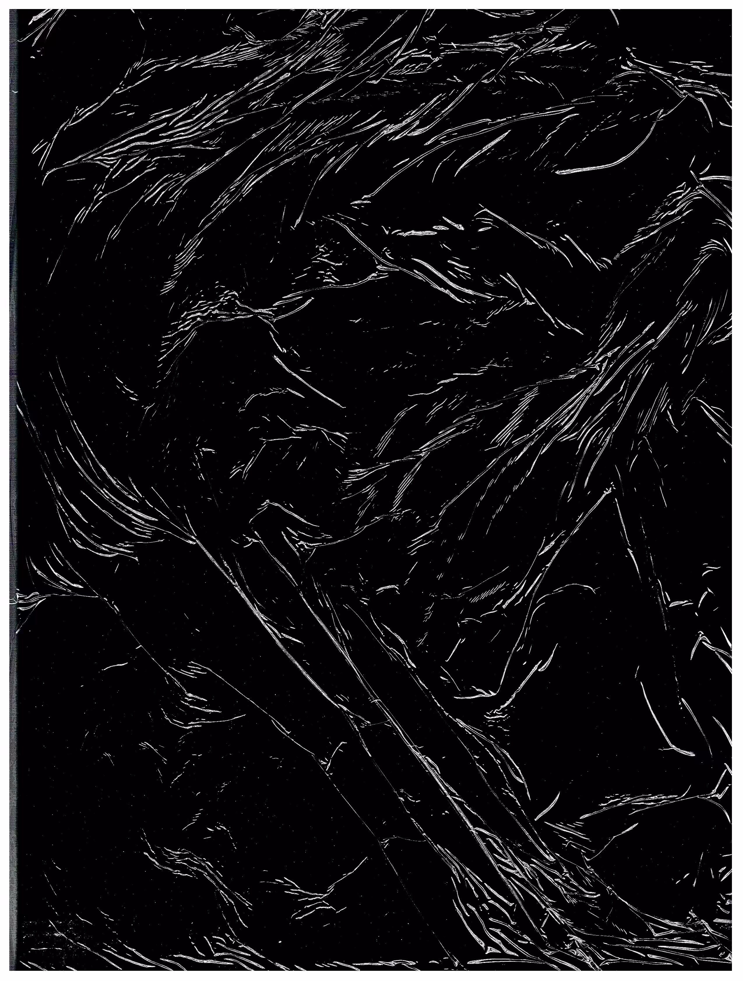 _Bark