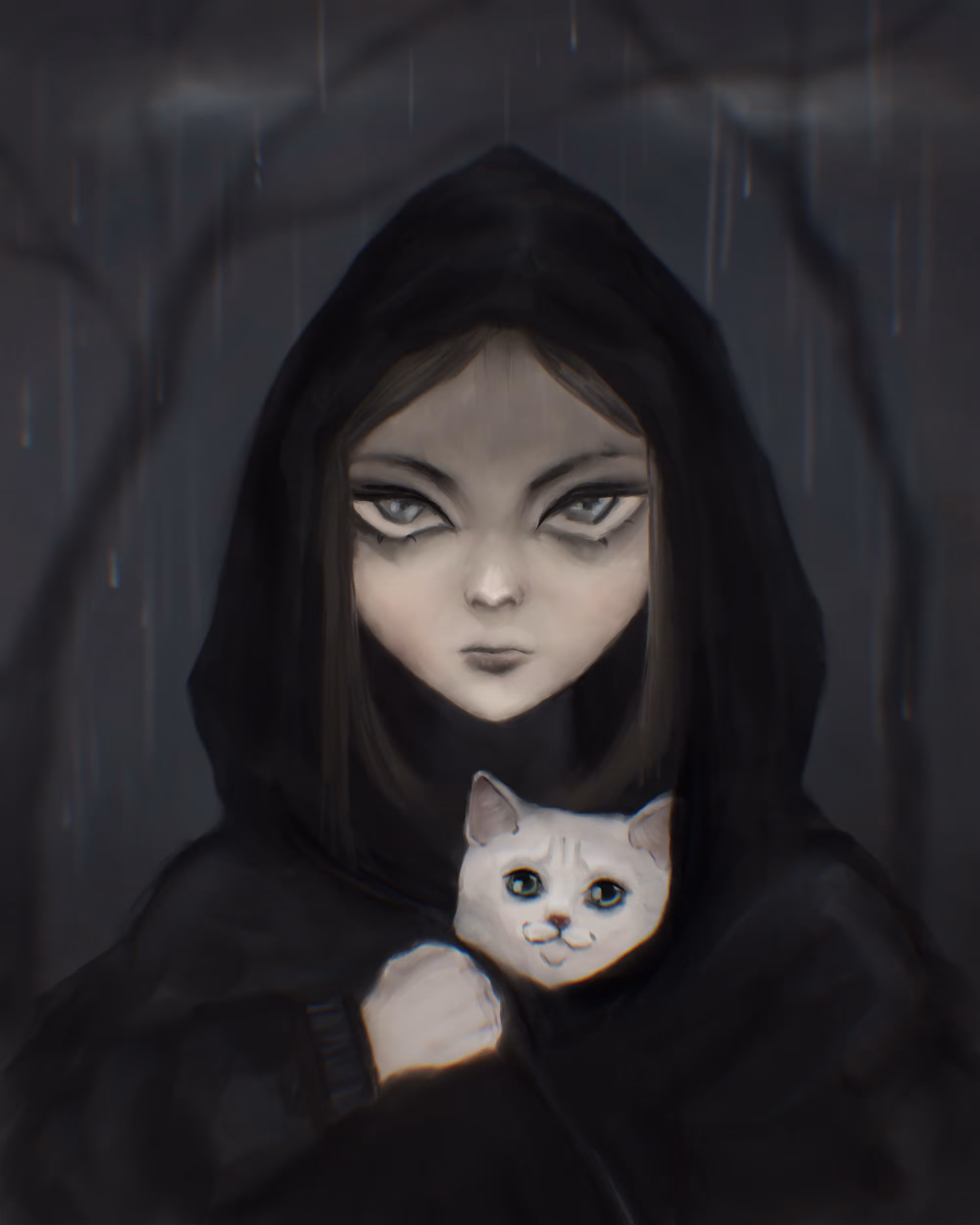 Shelter