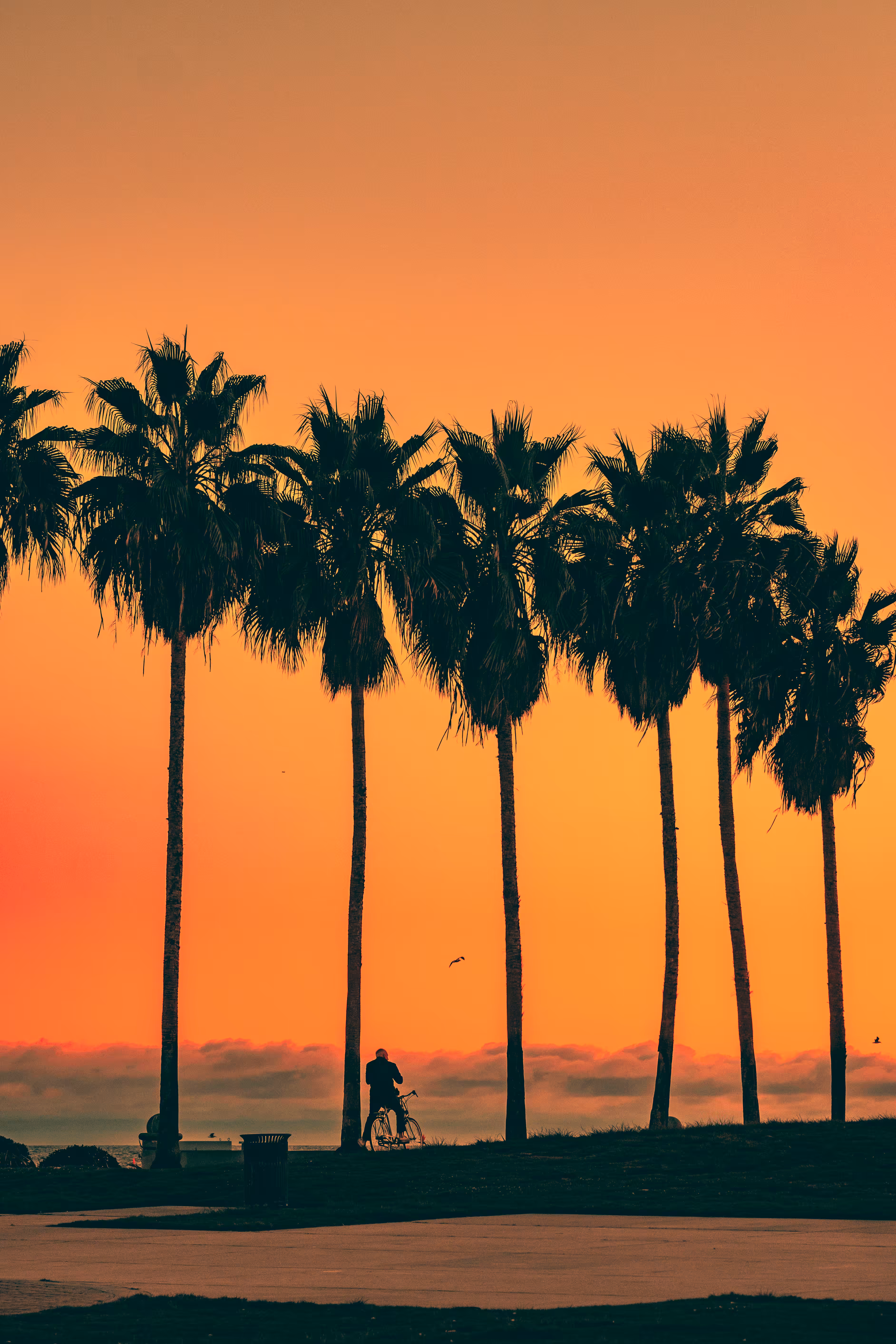 Somewhere Else: 027 - Under the Palms