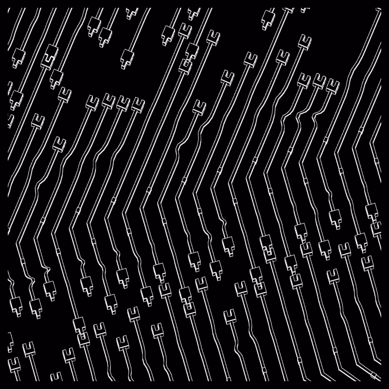 Neural Collapse #283