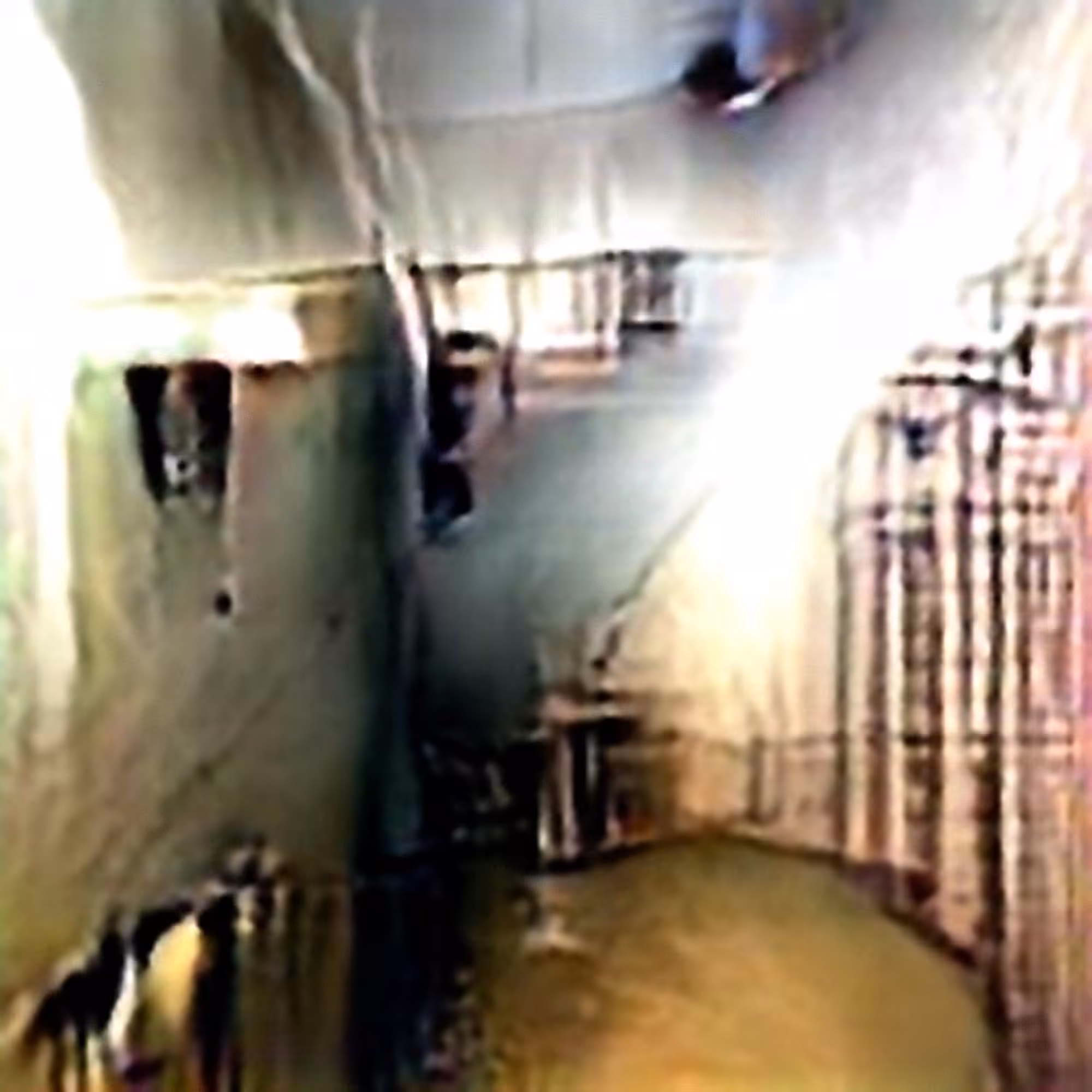 A Prison Without Guards #5 (Corpus: Eye/Machine)