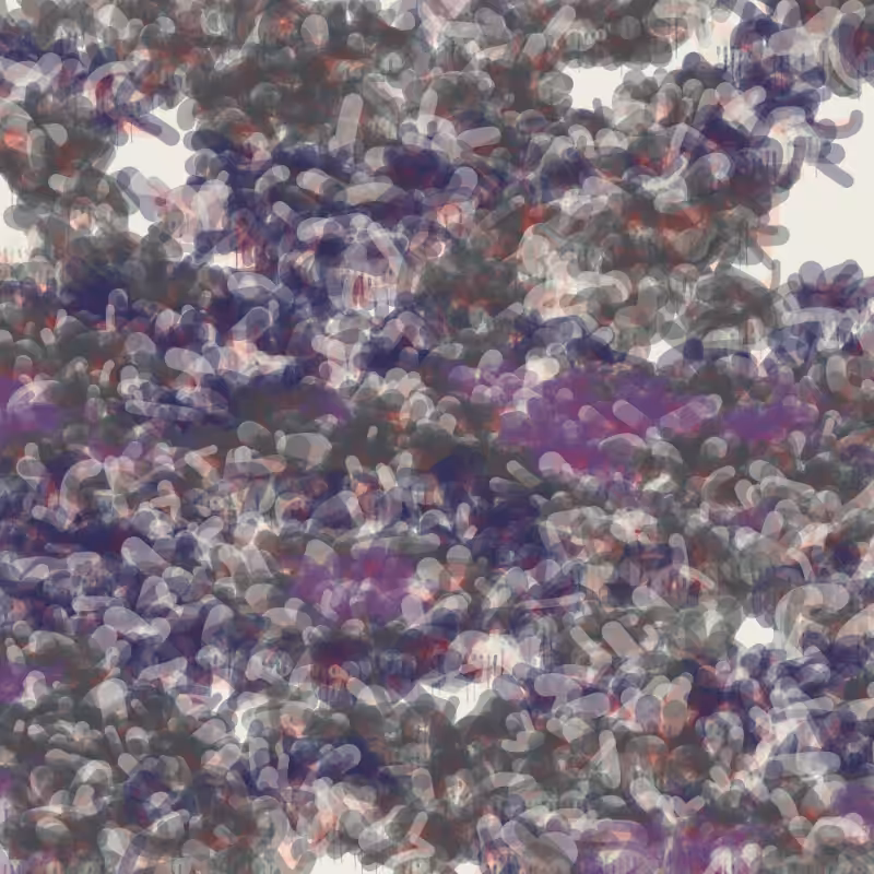 Petri 1500 #107