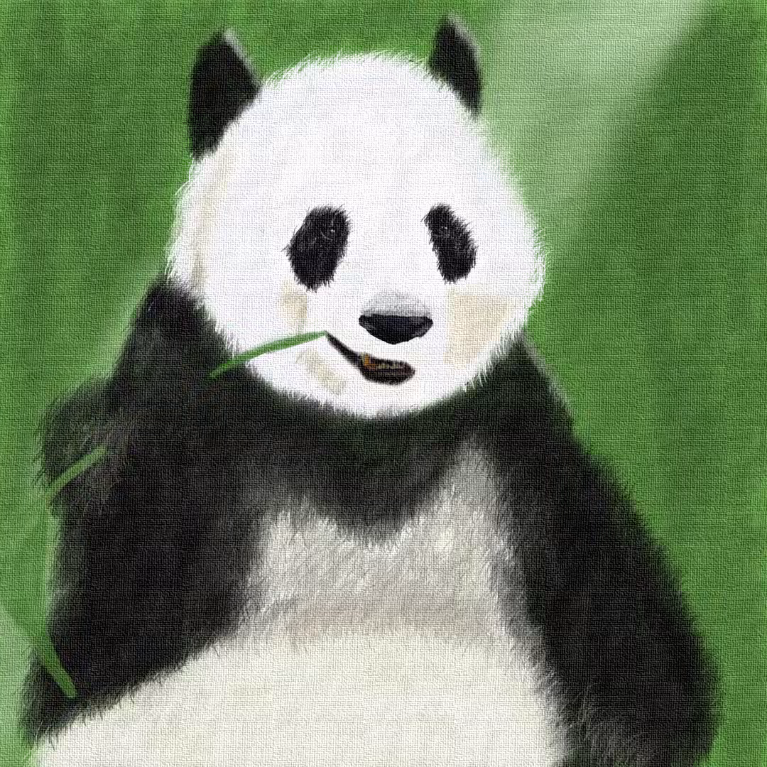 Panda life