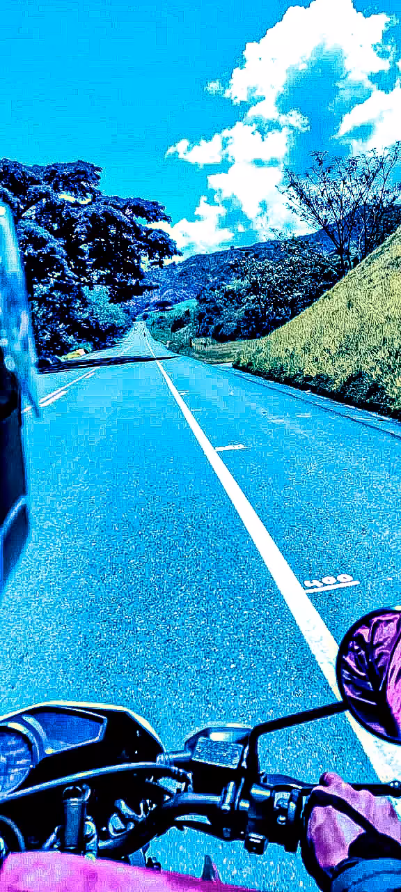 Watch your road, life is crossing in front of you!