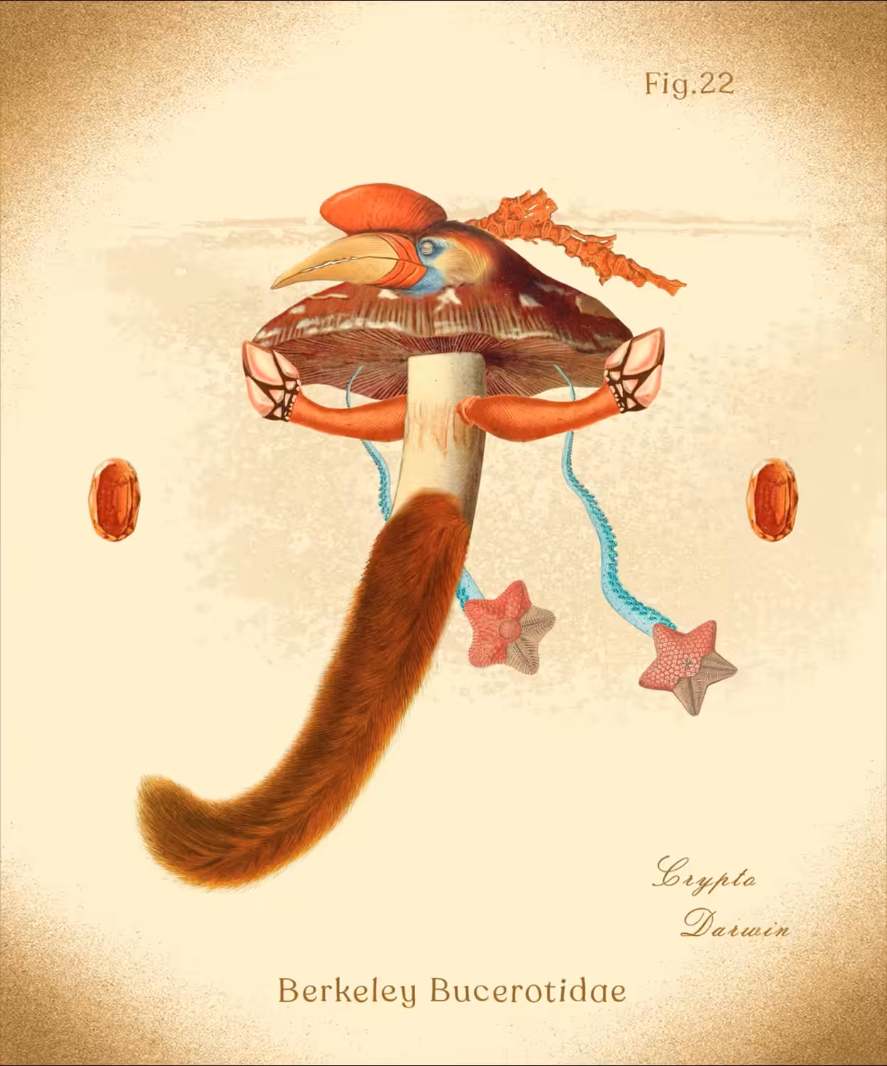 Berkeley Bucerotidae
