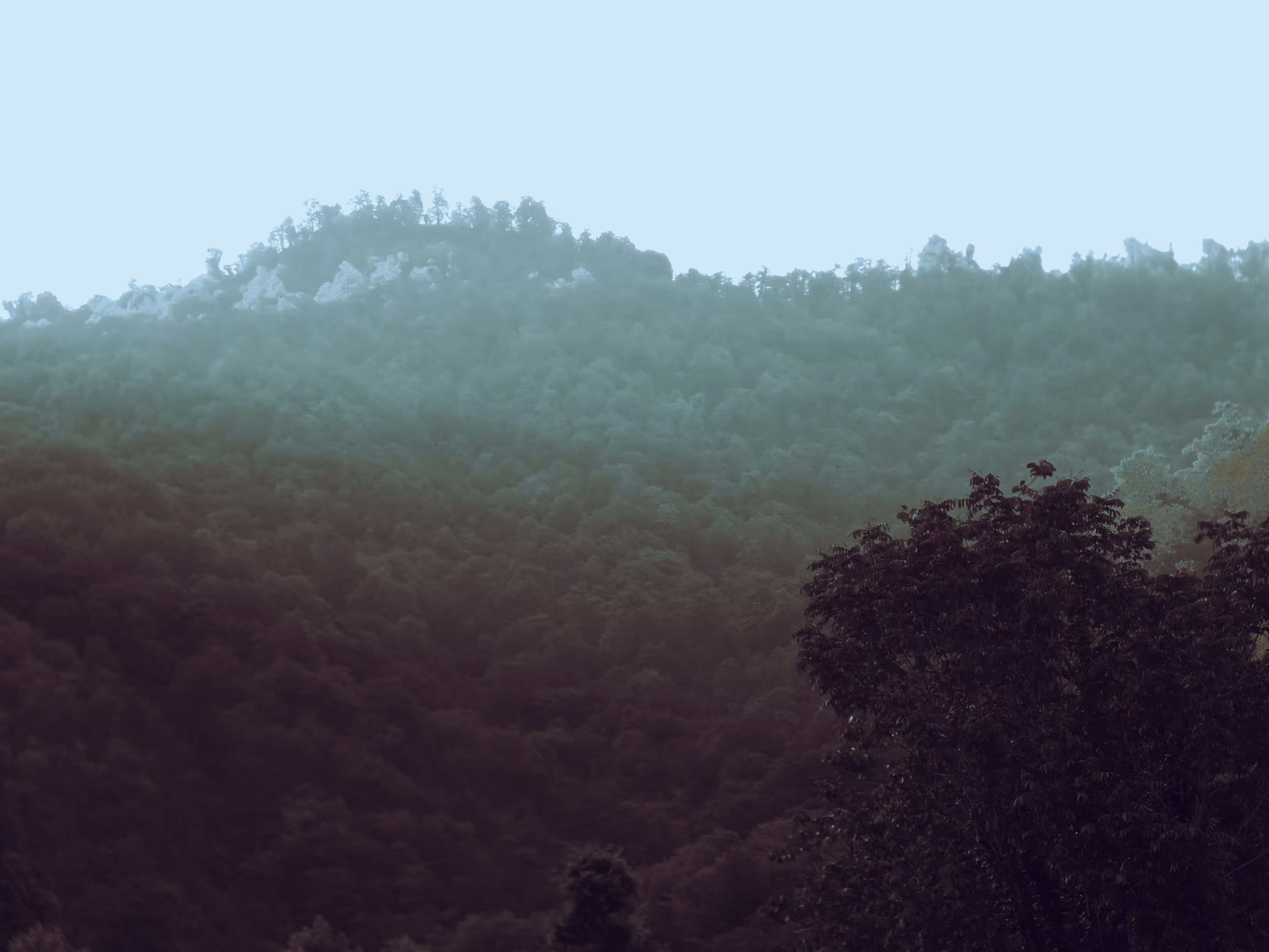 Longing #3