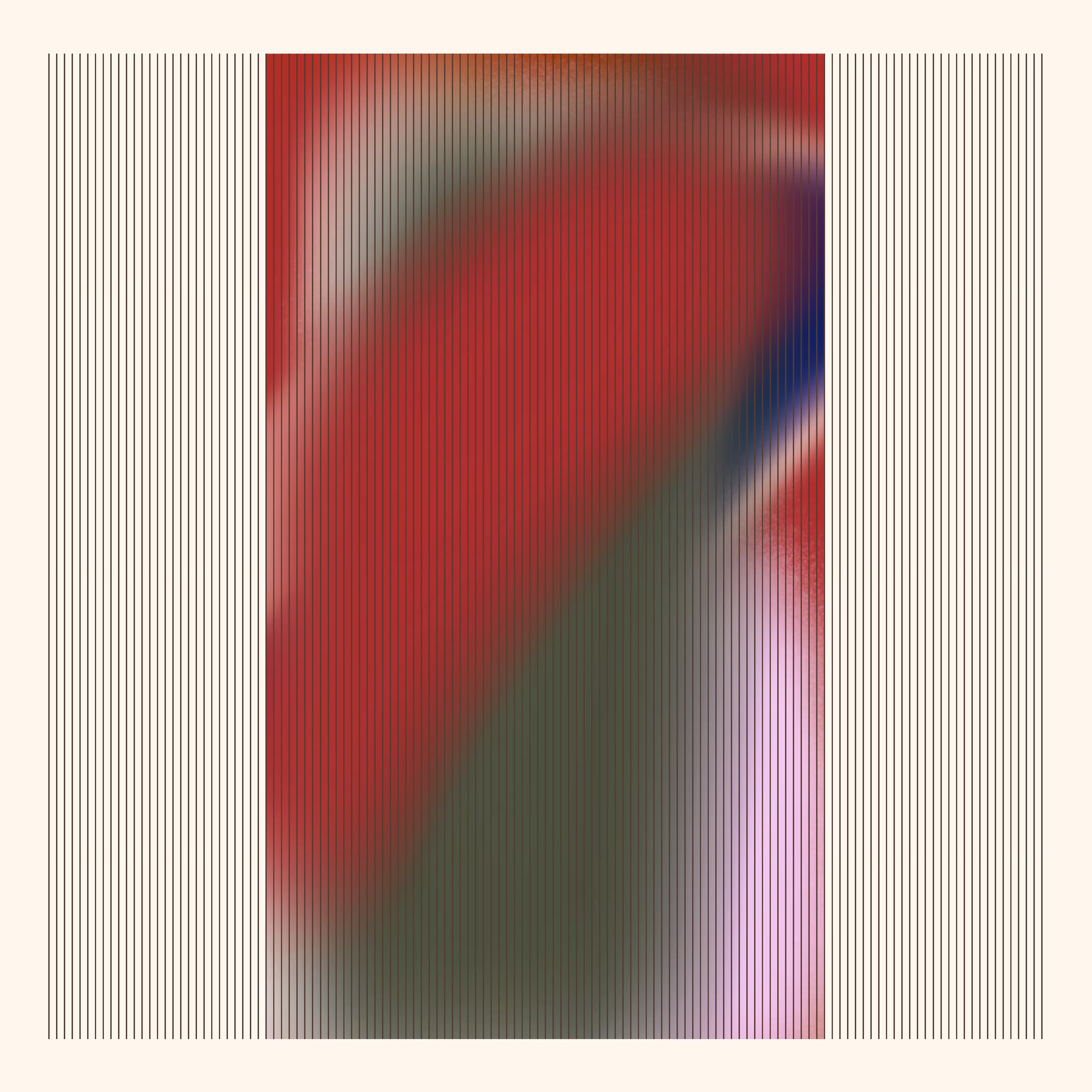 DS 011 (Manifold)