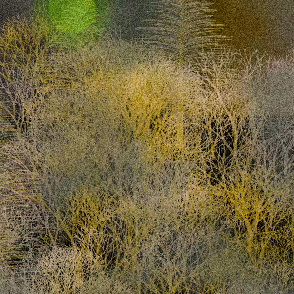 Moonlit Native Bush #39