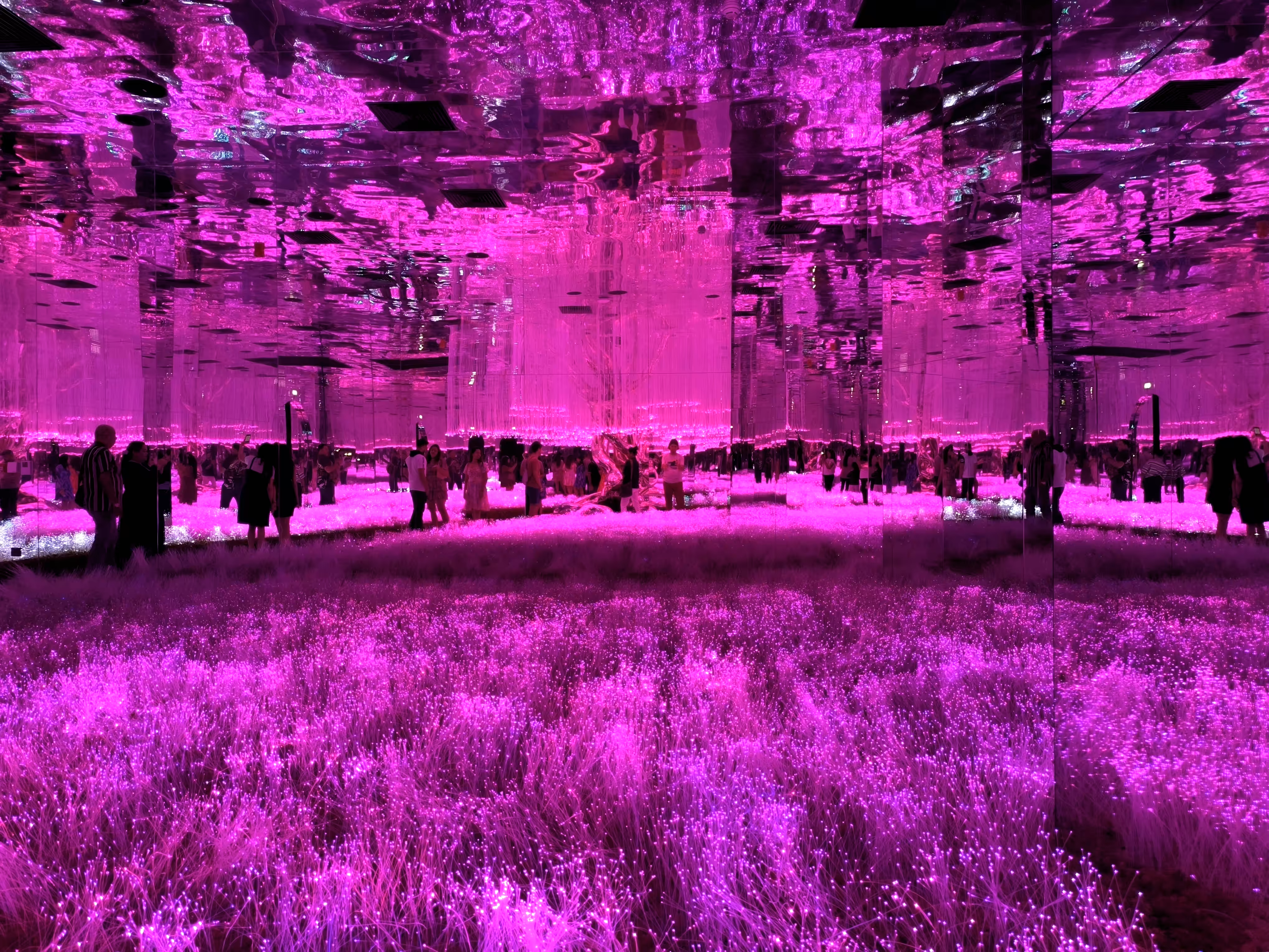 Pink Dream World