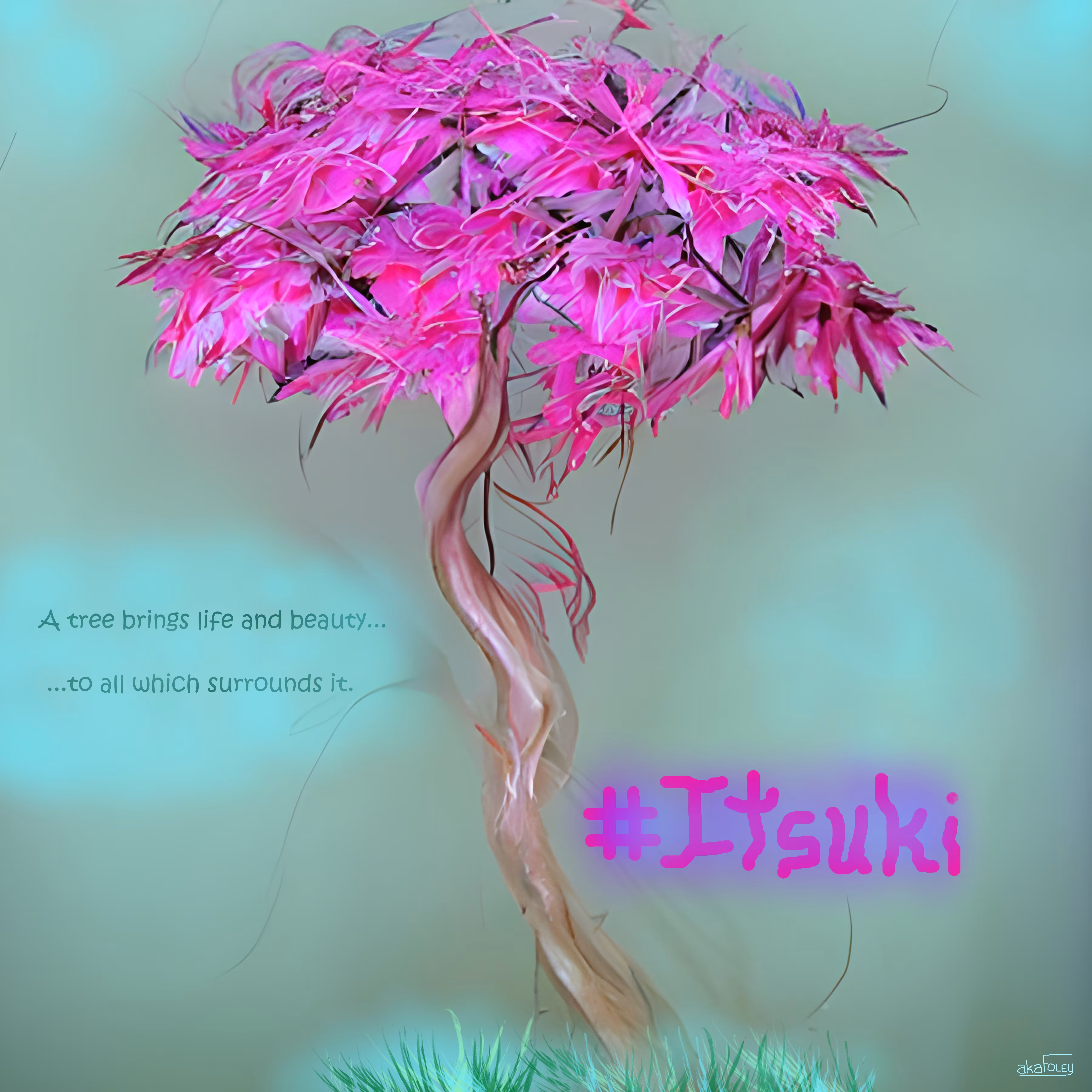 Life and Beauty