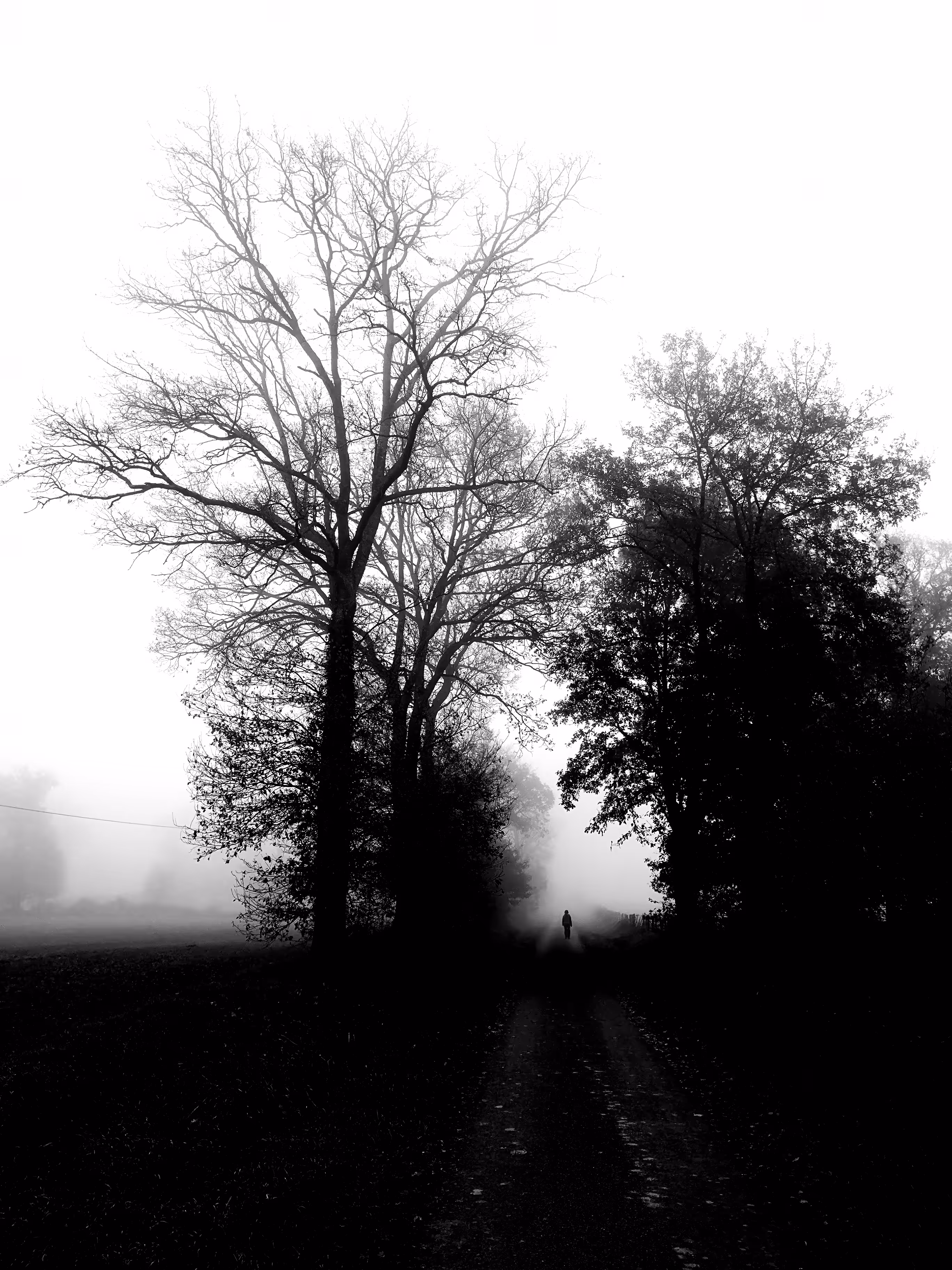You will walk alone part I