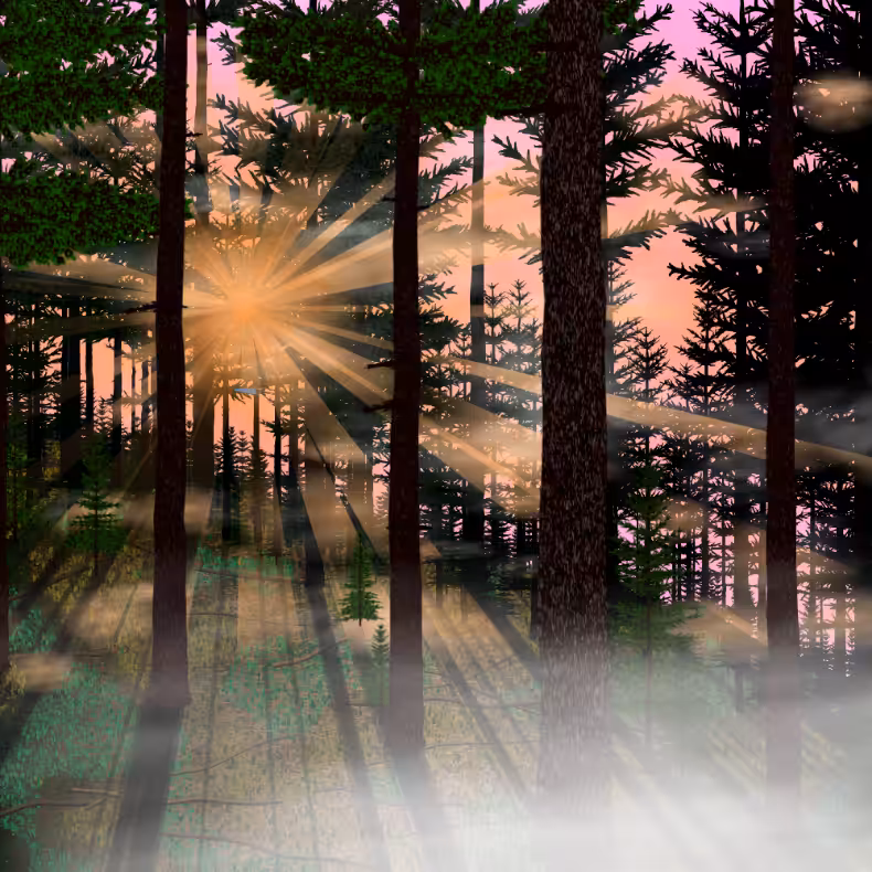 Forest Sunrise #35