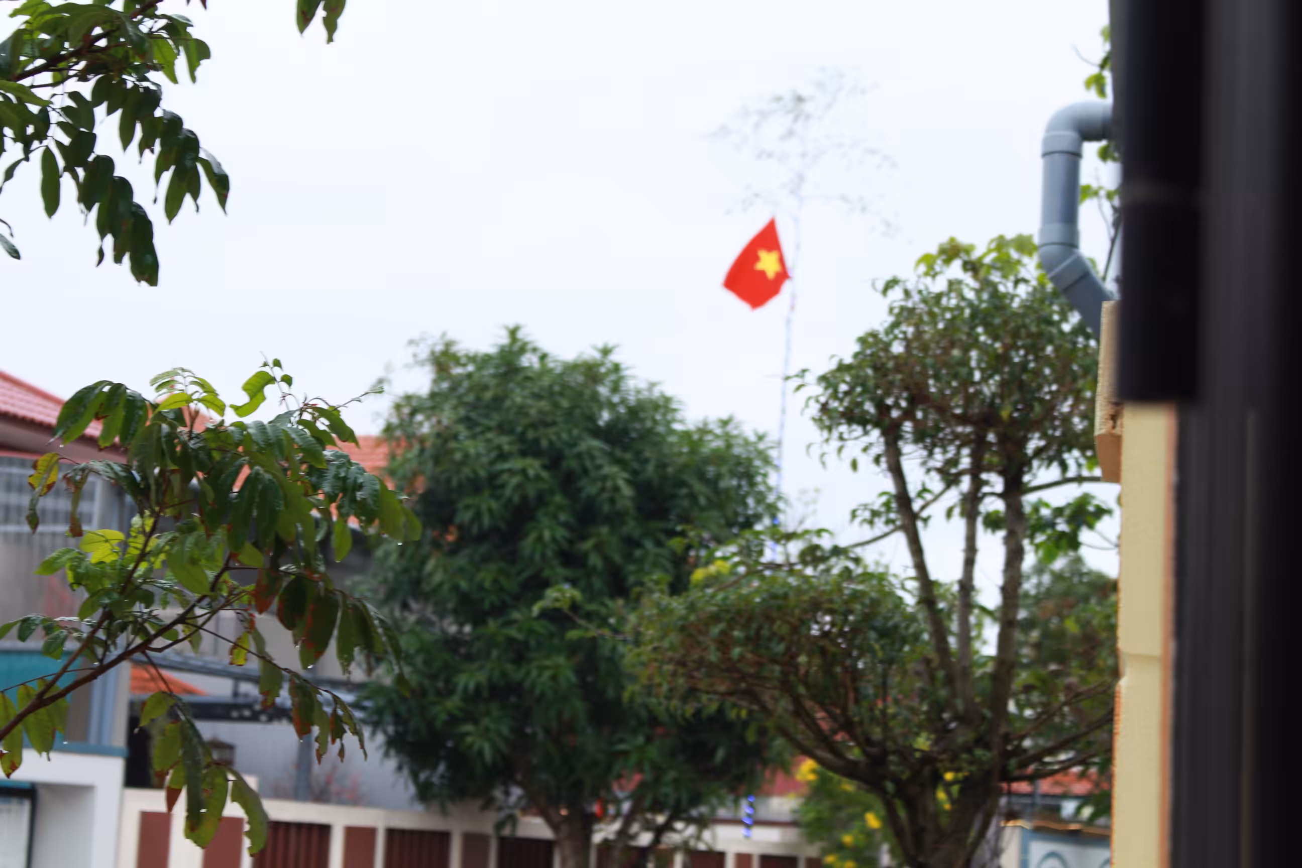 Vietnam Flag High on Tet Holiday