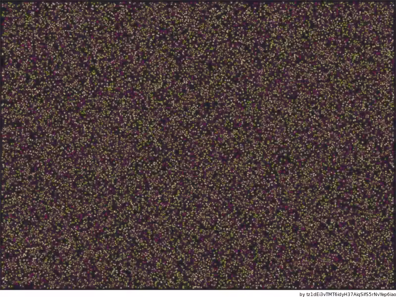 What is Love ♥ - La foule (80751)