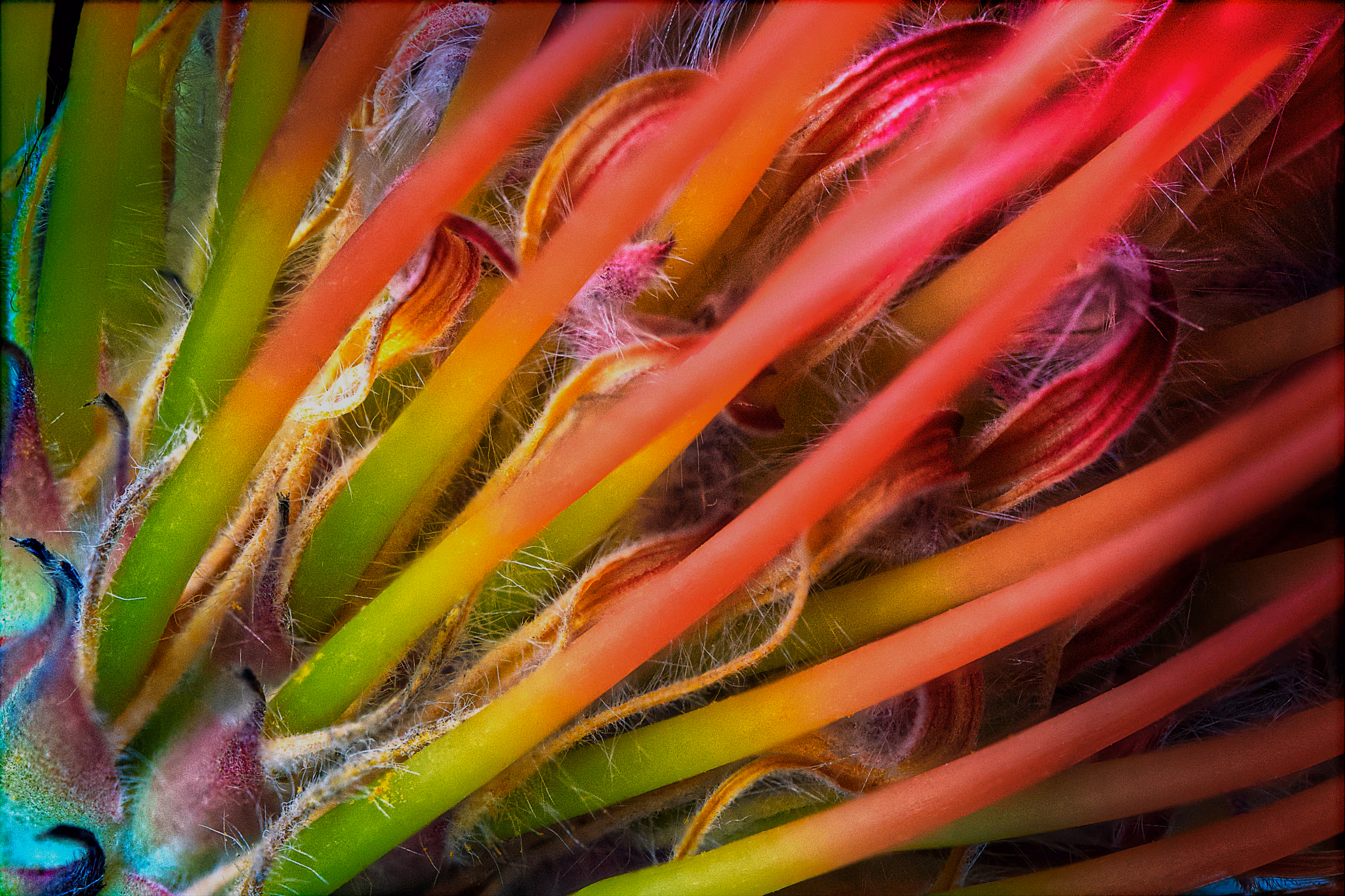 colors