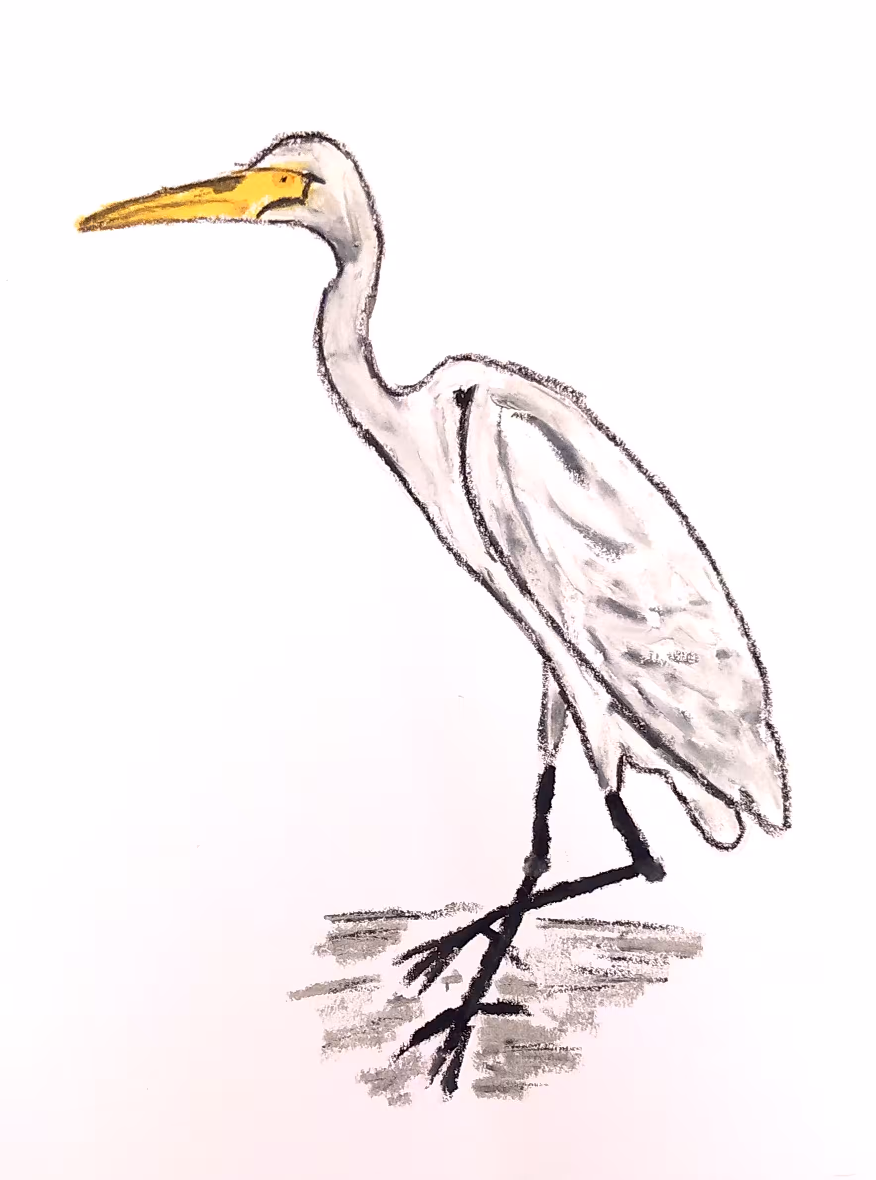 garza real
