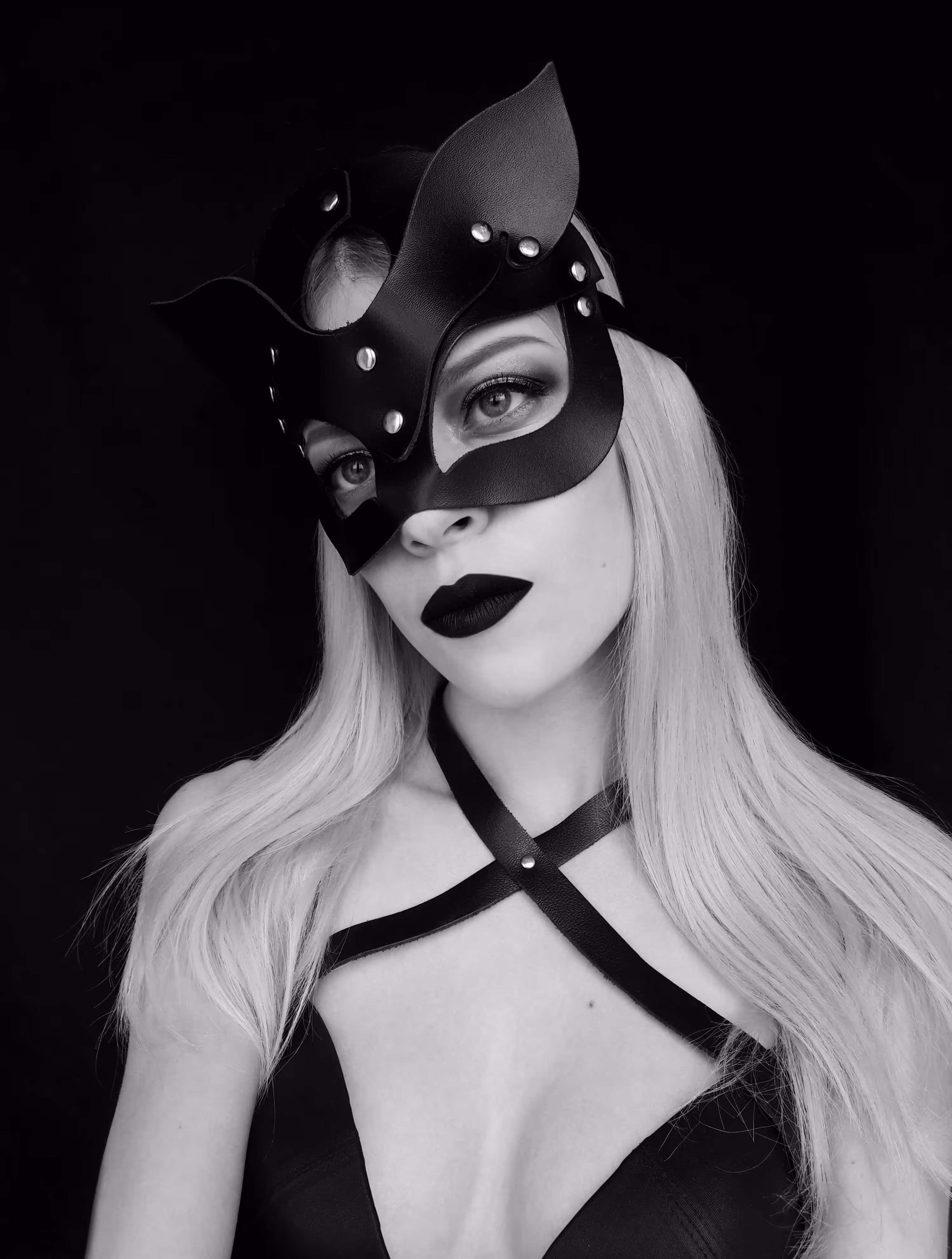 black cat