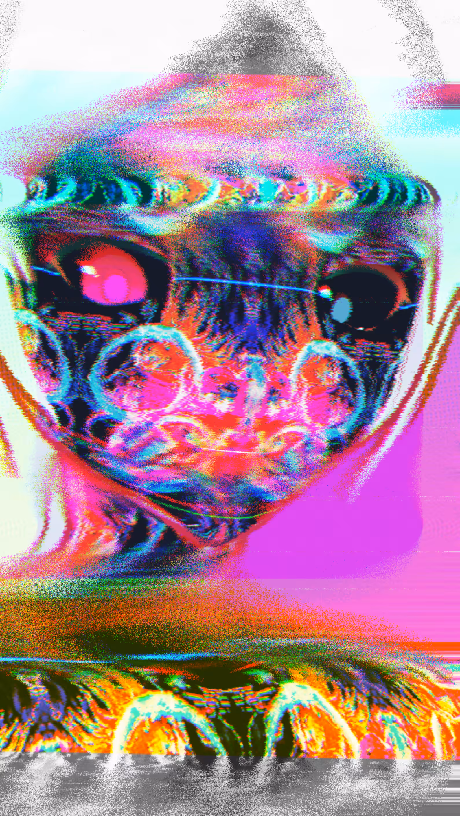 C:/> #161 CLONE Z ⍭ CURSED NFT ⍭