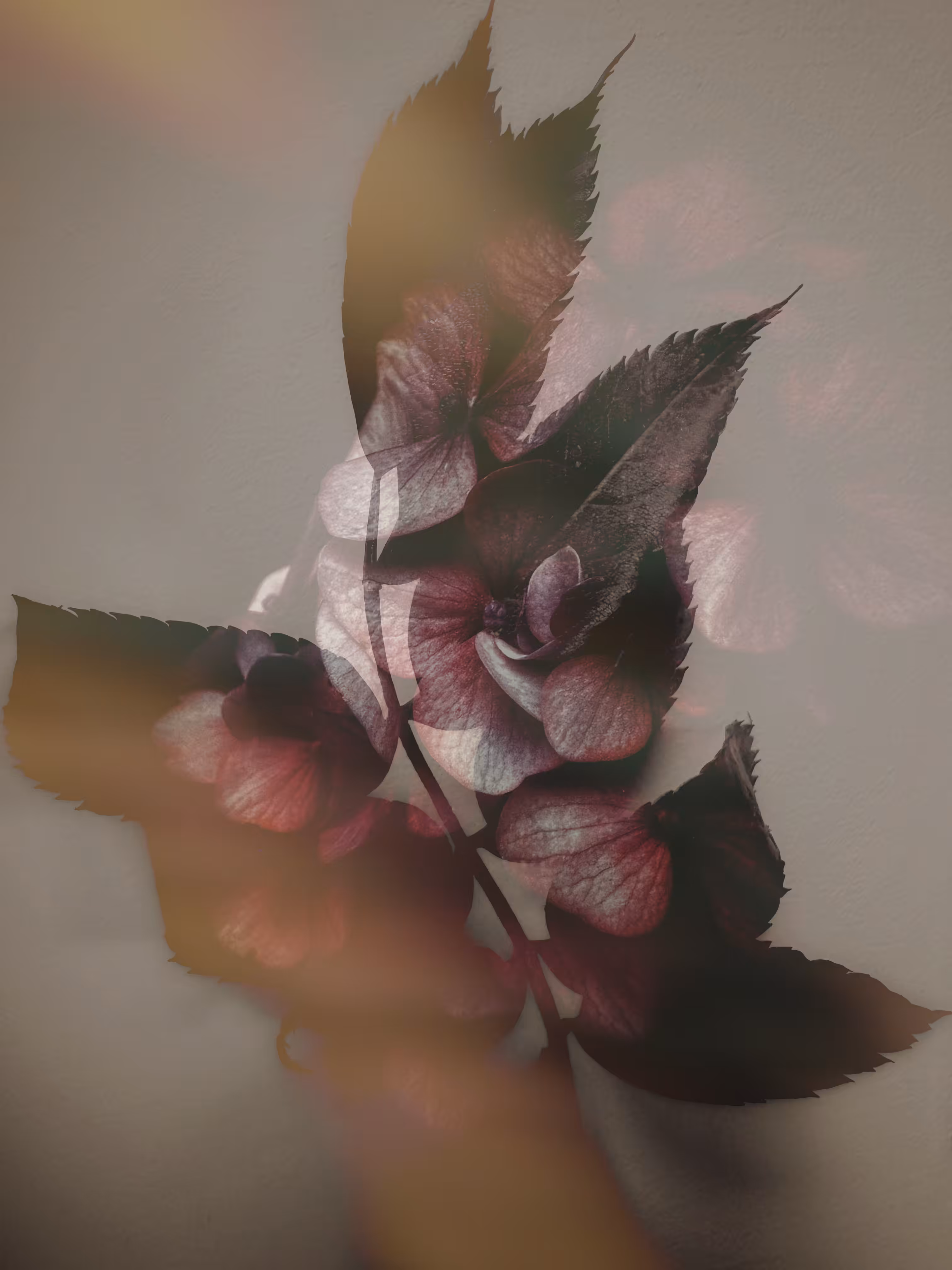 Old Smoke