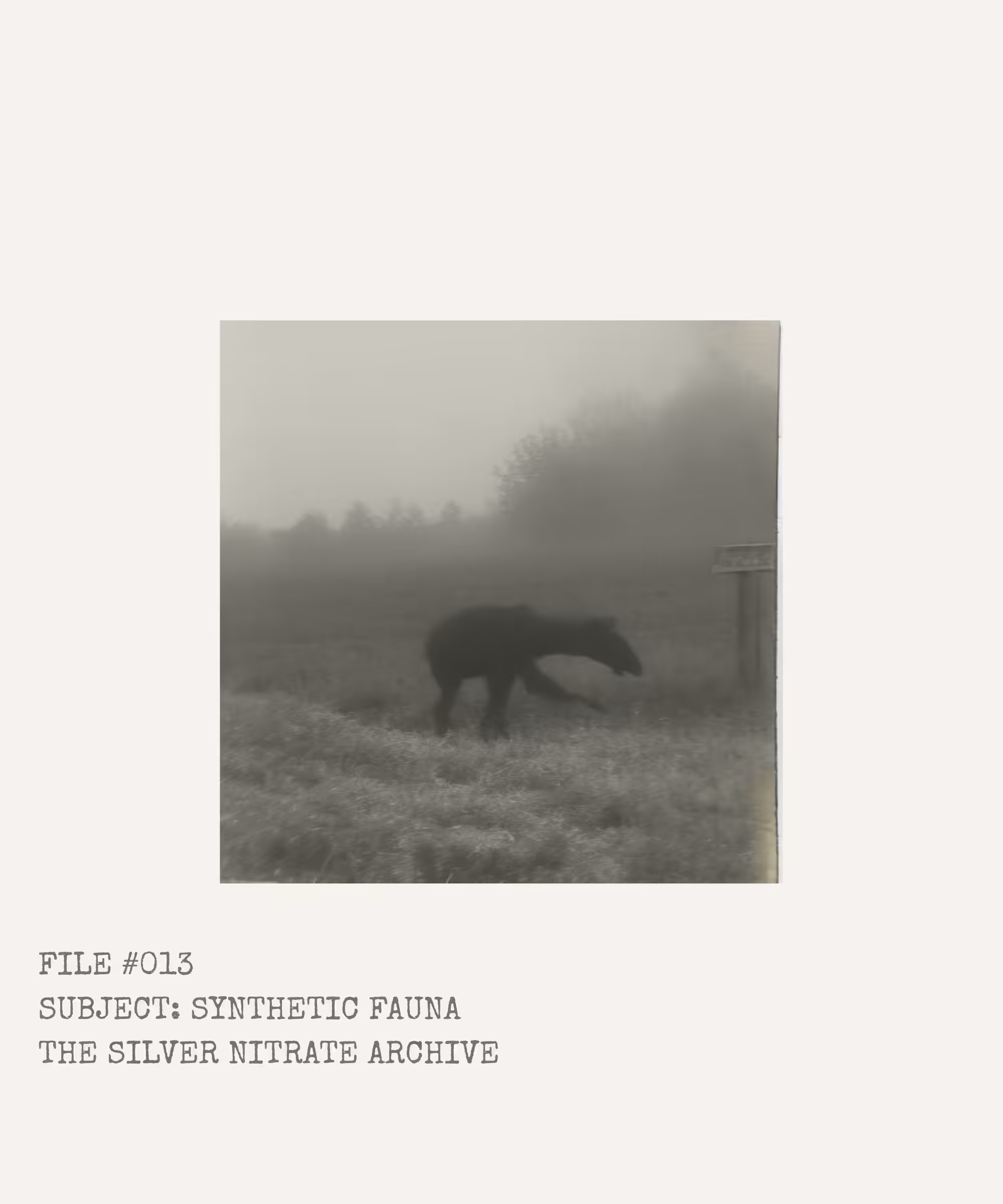 "The Silver Nitrate Archive": "File #013: Synthetic Fauna"