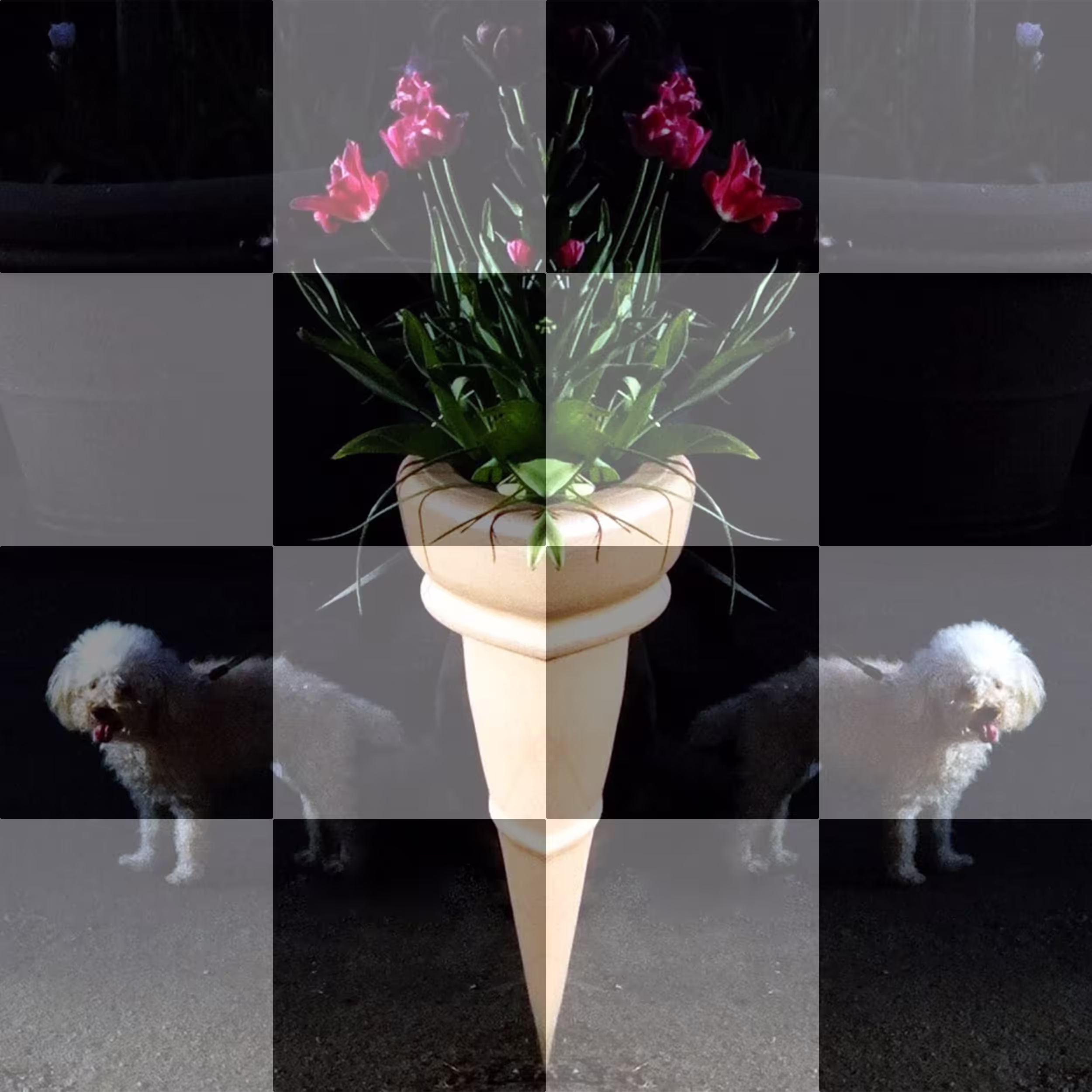 Checkered 01