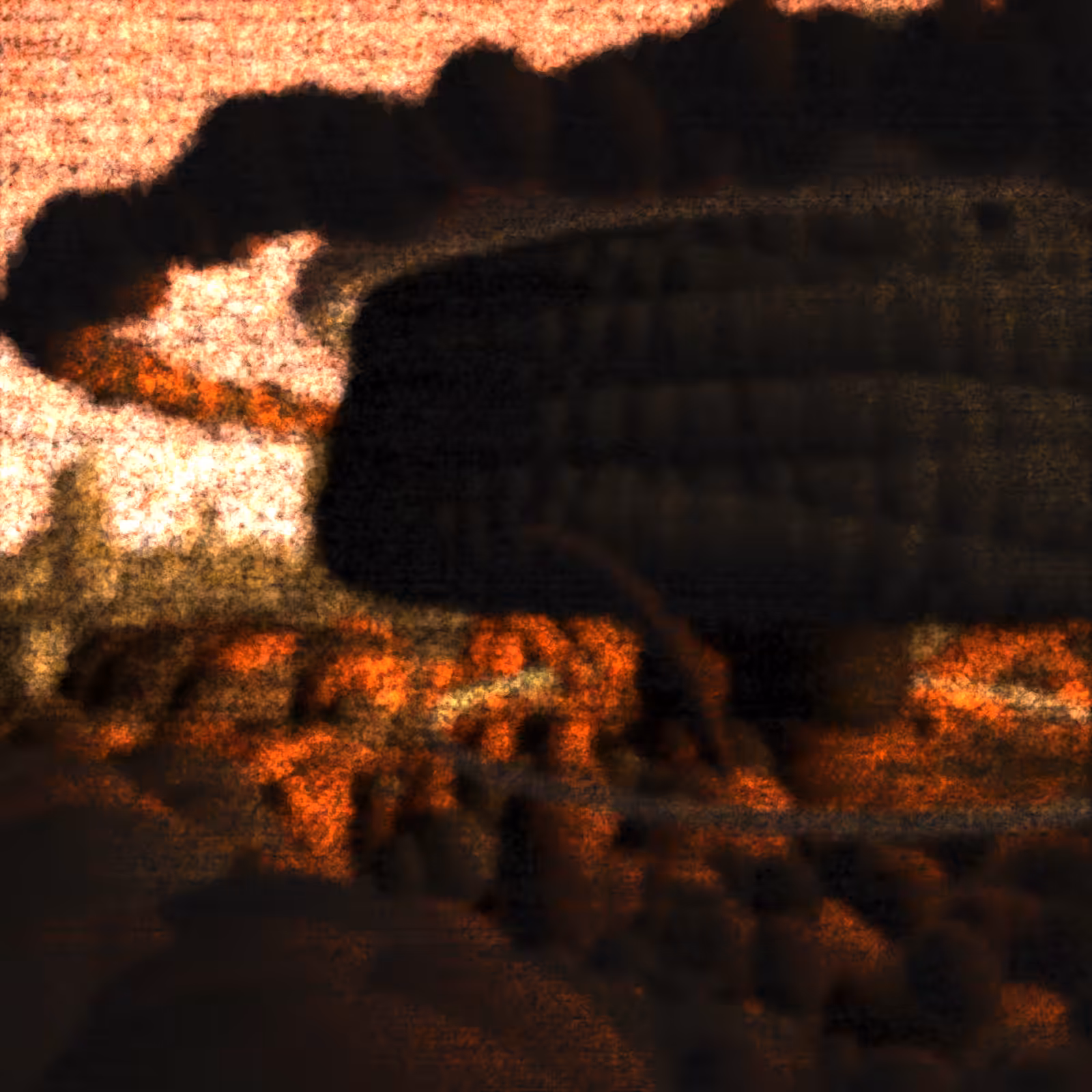 Last Transmission #7