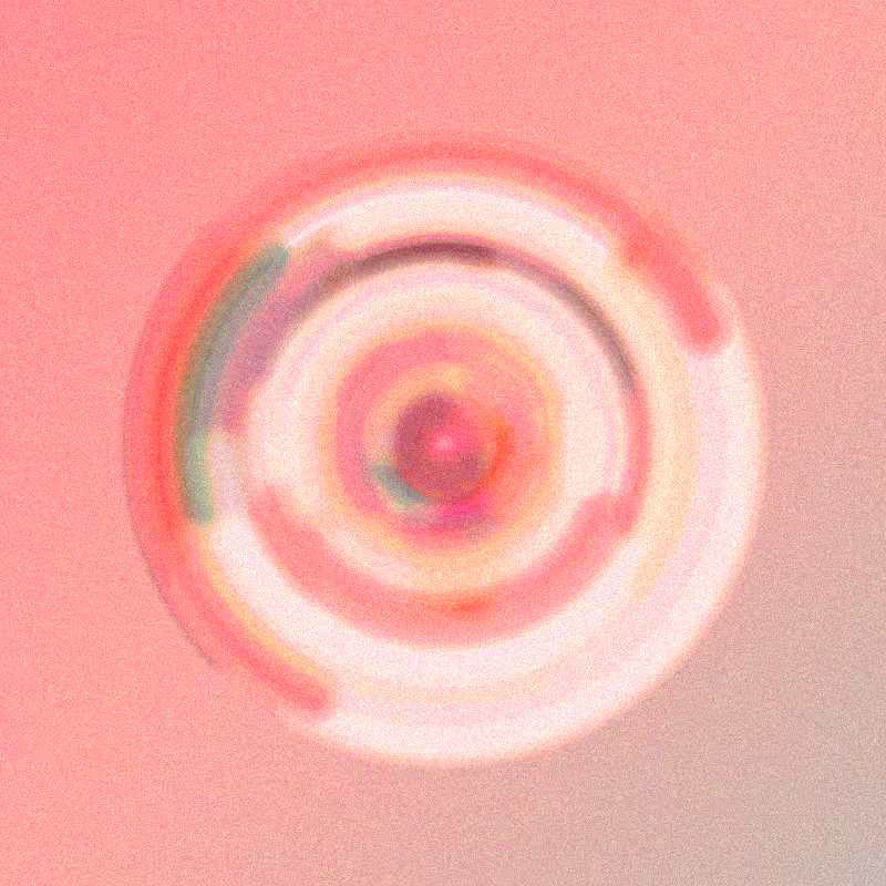 Wisp #884