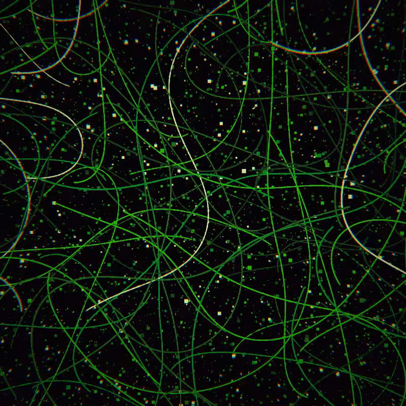 Neon Curves #6