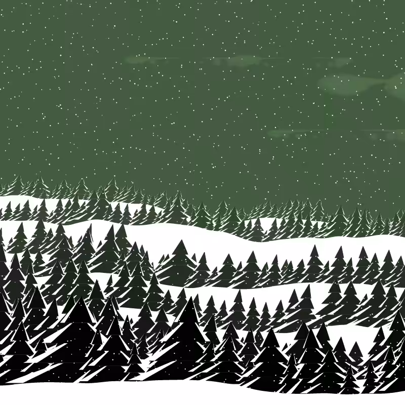 Winterland #232