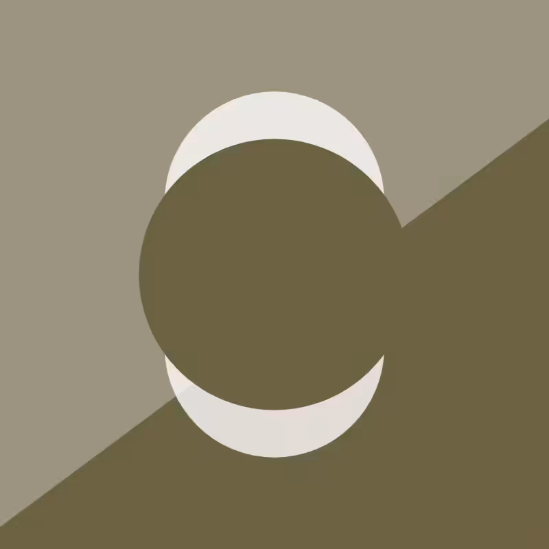 Capsule #29