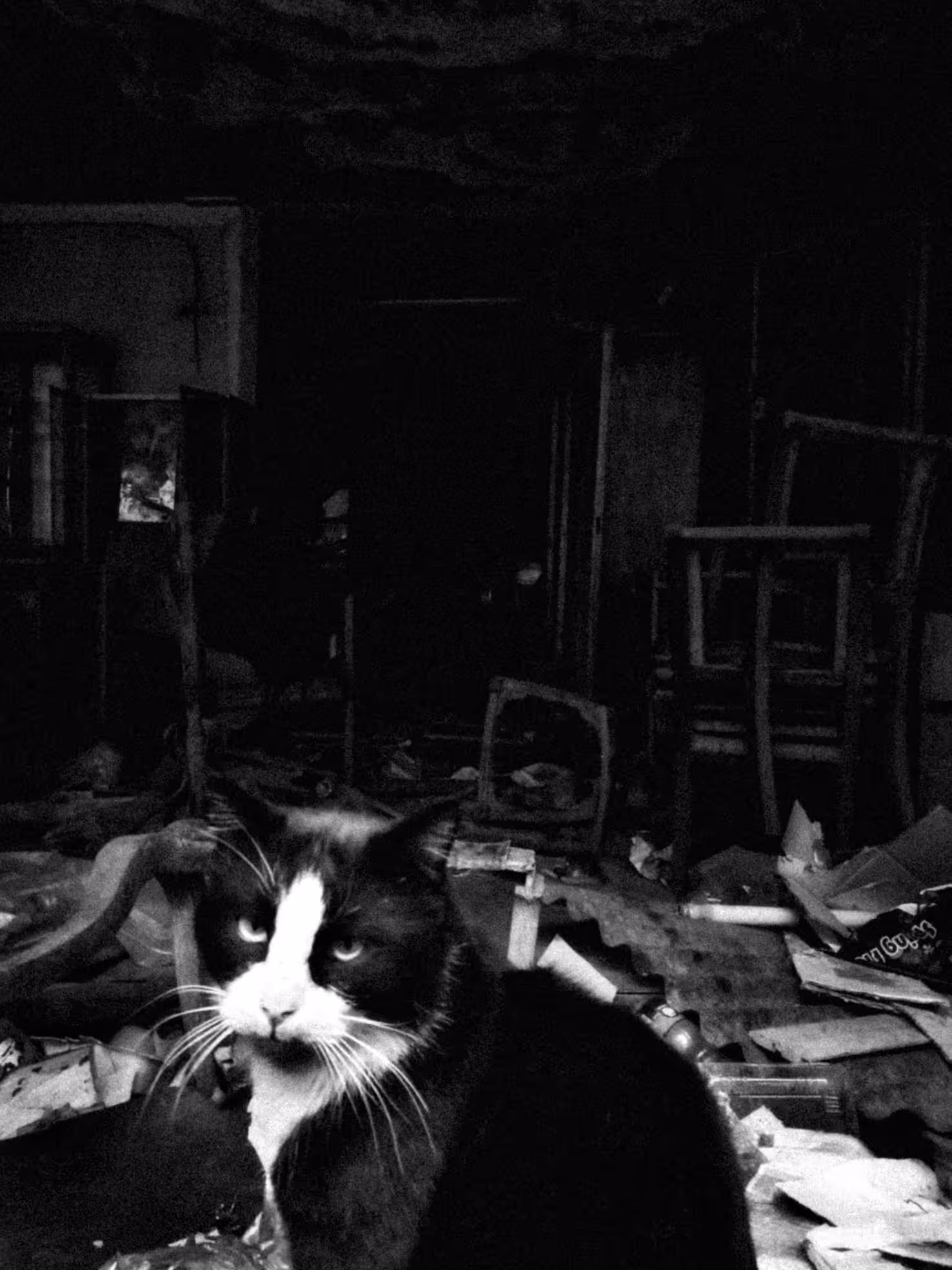 Residents #2