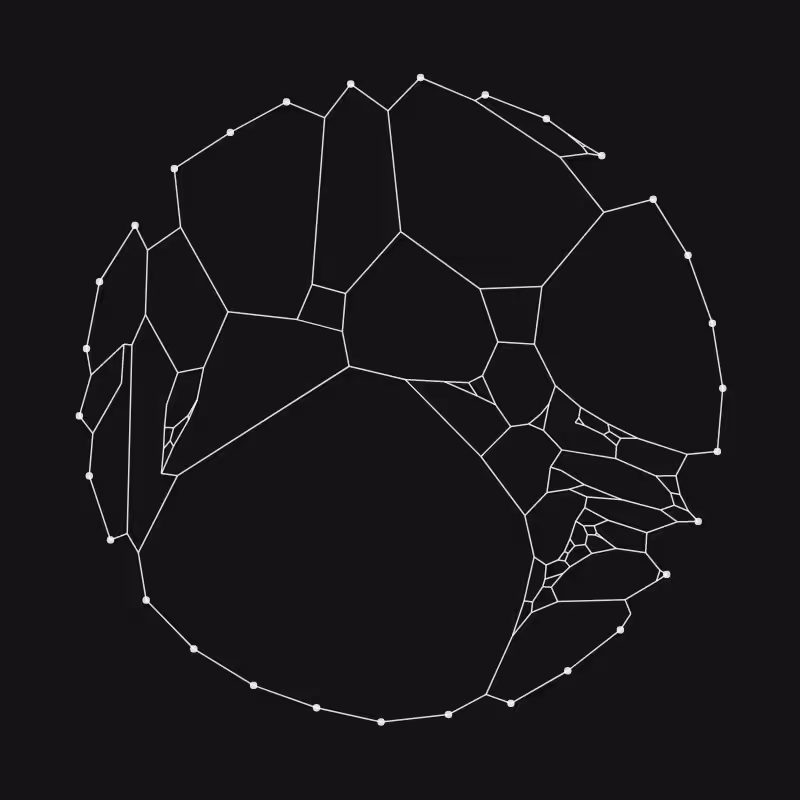 Elastic Web #211