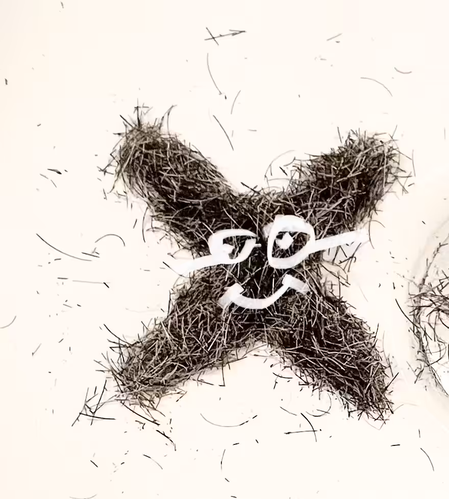Self portrait as an old dog