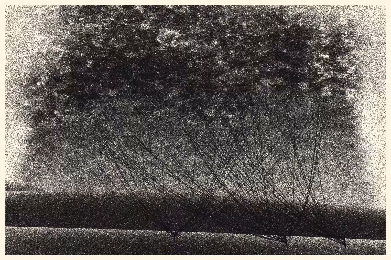 Cables and Clouds #152
