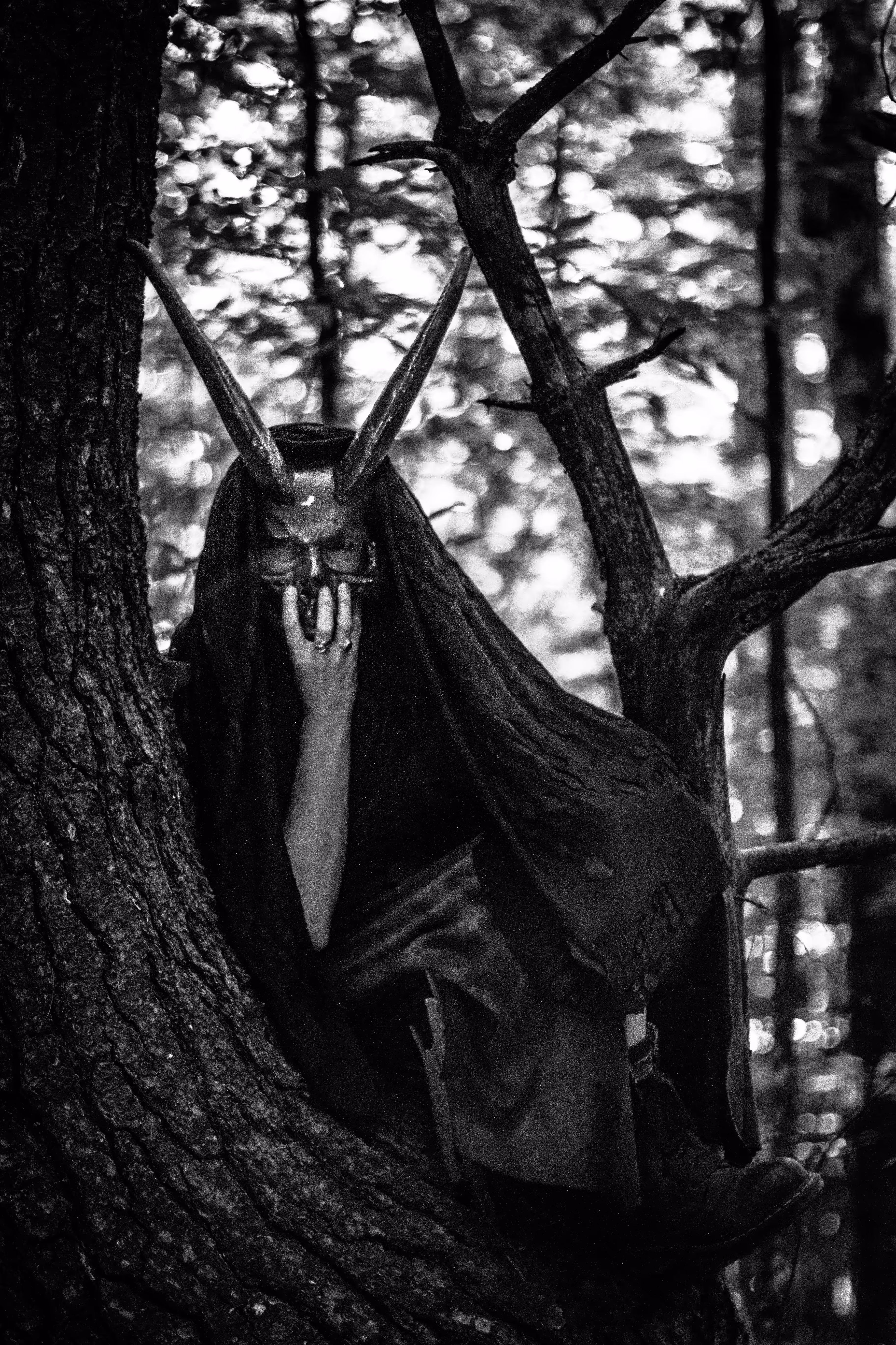 Schoharie Demon
