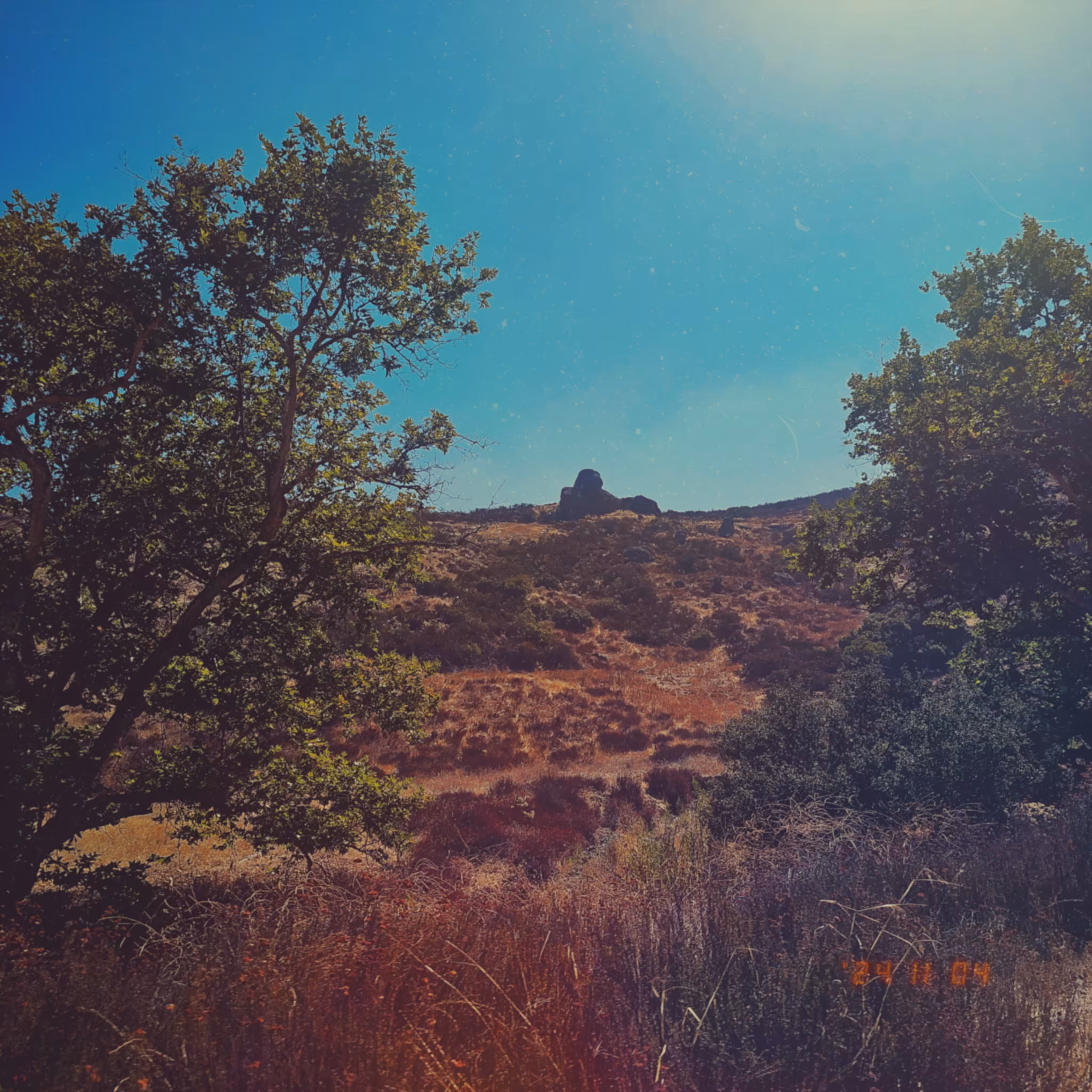 :a Visual Odyssey:: Day 309/365