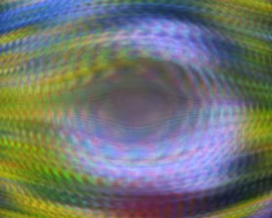 eyedog_001