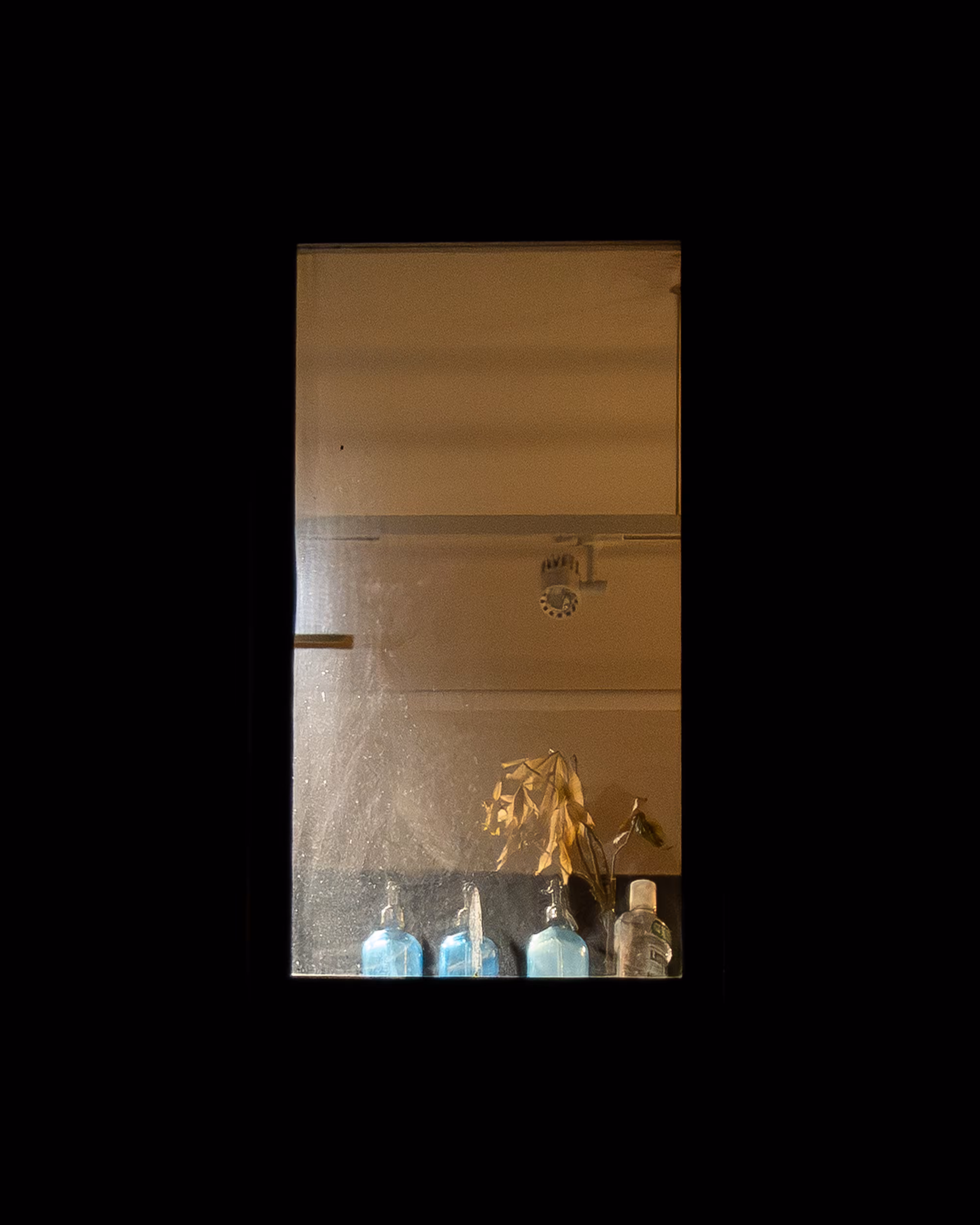 WINDOWS // NYC: WINDOW 740