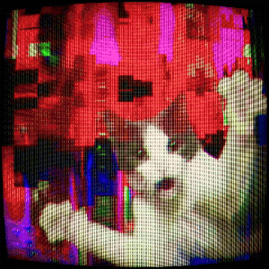 Watching Cat Chaos # 1