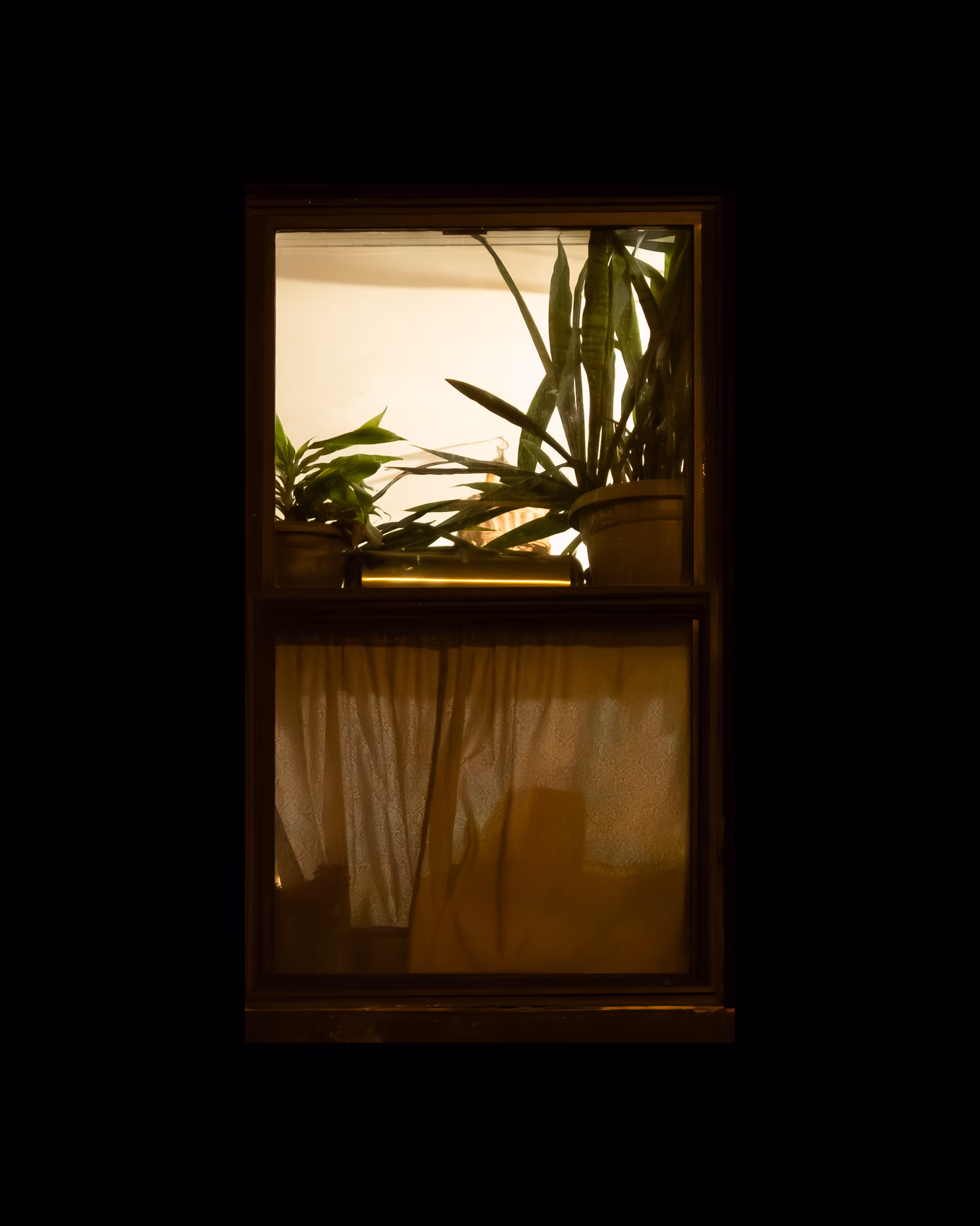WINDOW 883