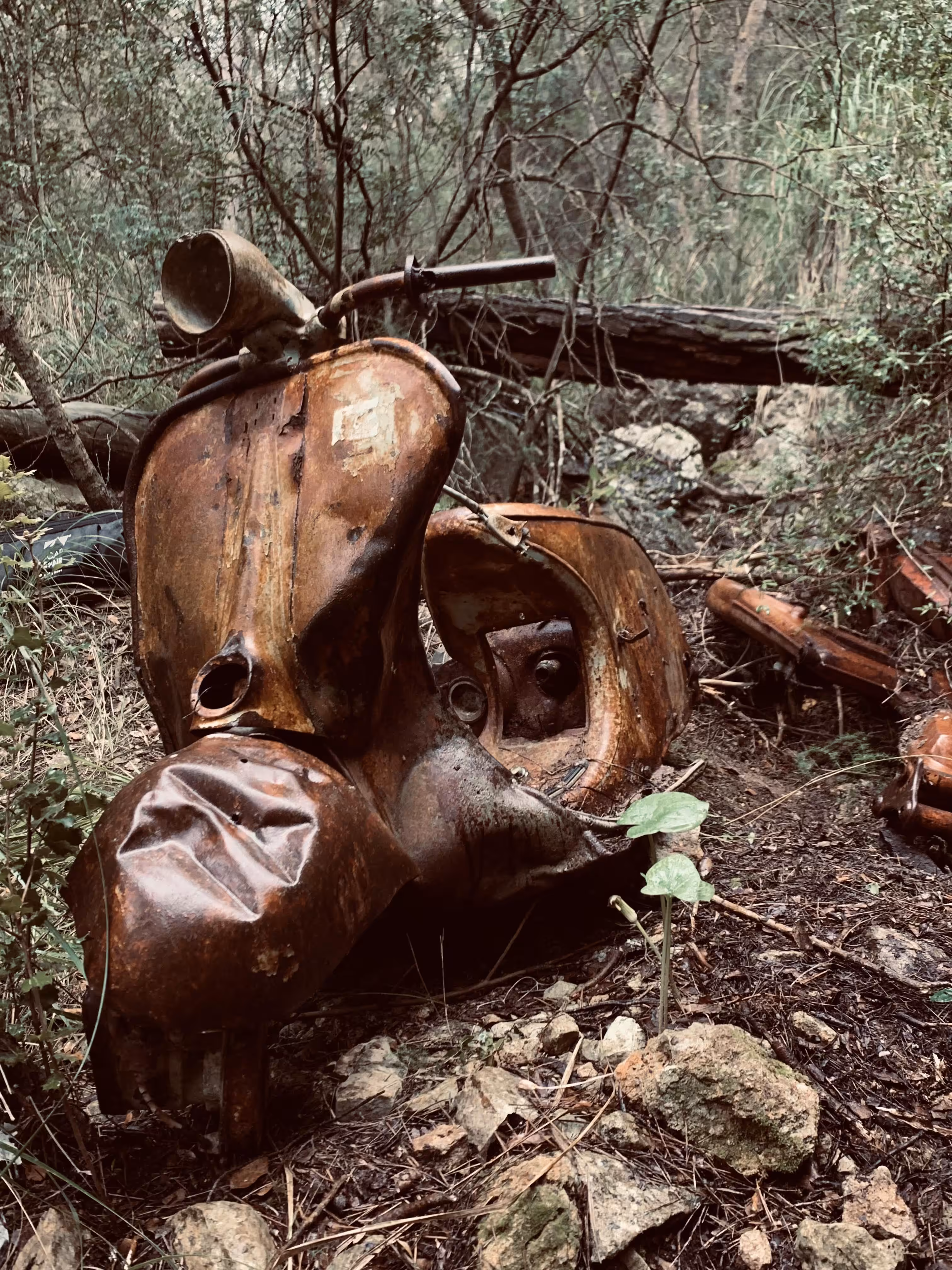 02. "VESPA 1955"