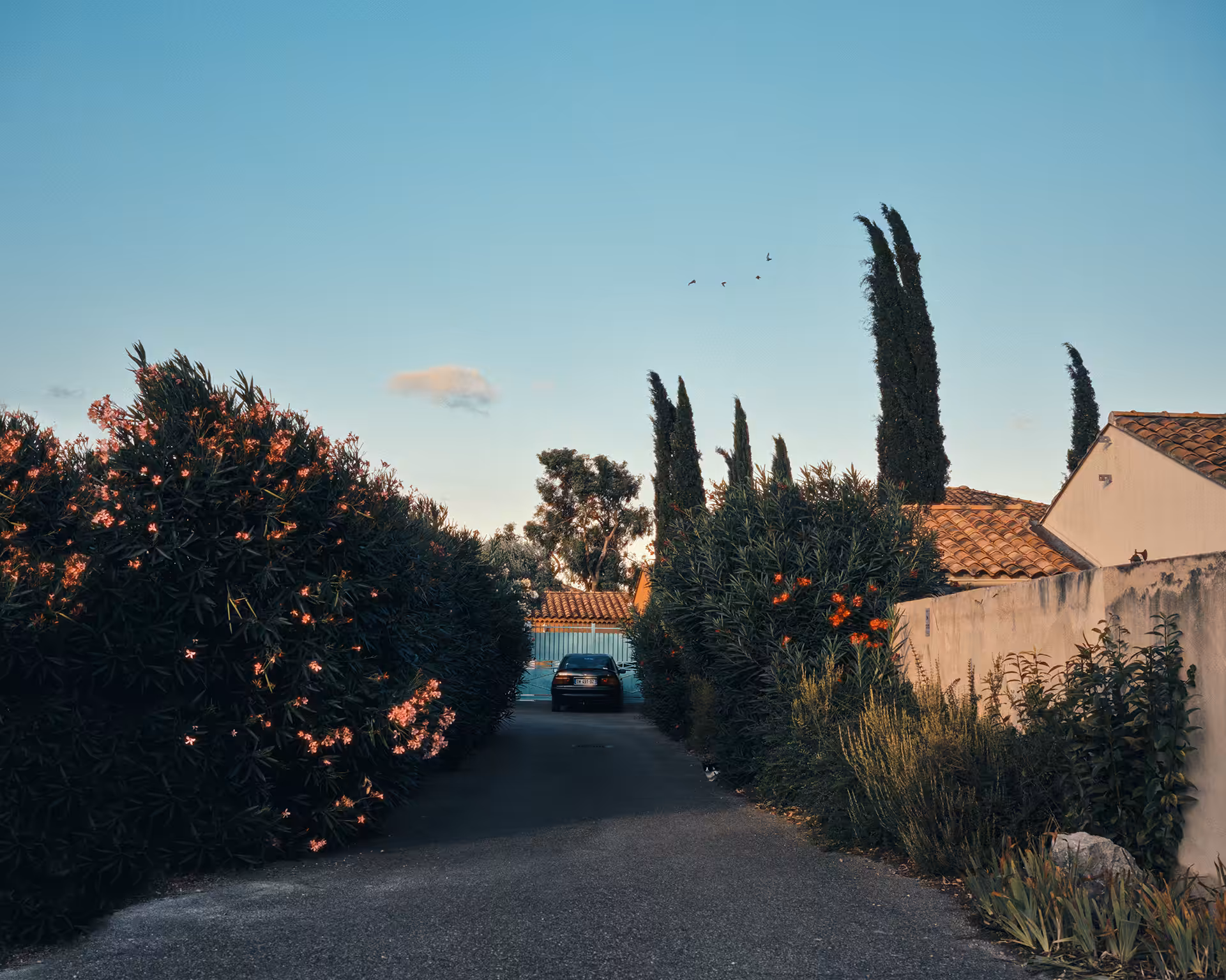 Provence_01