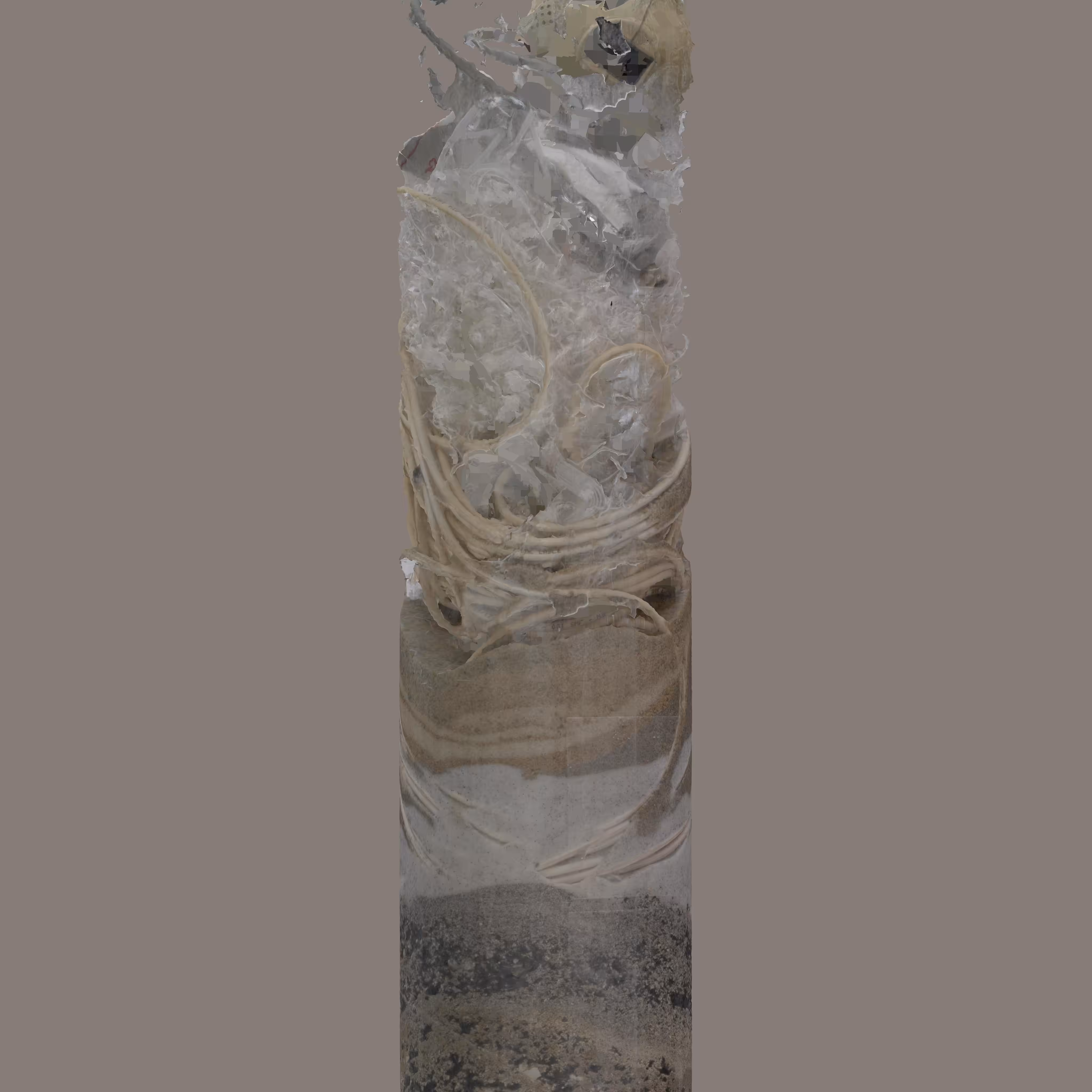 Speculative Core Sample 5, View #1