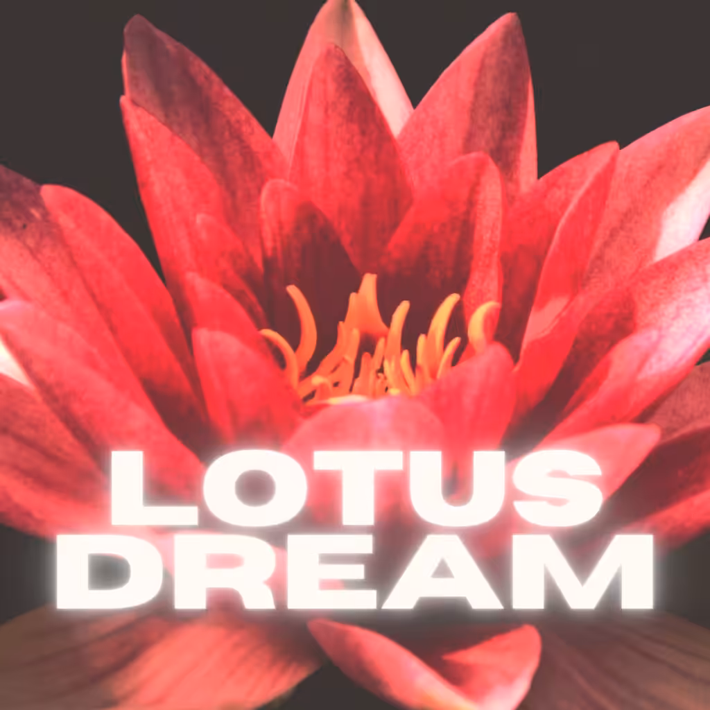 SONG- LOTUS DREAM single
