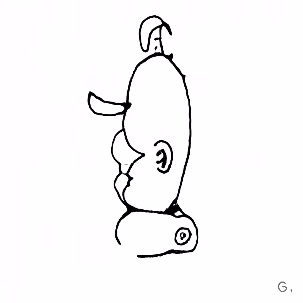 J48BAFORMS: J48BAFORM #424