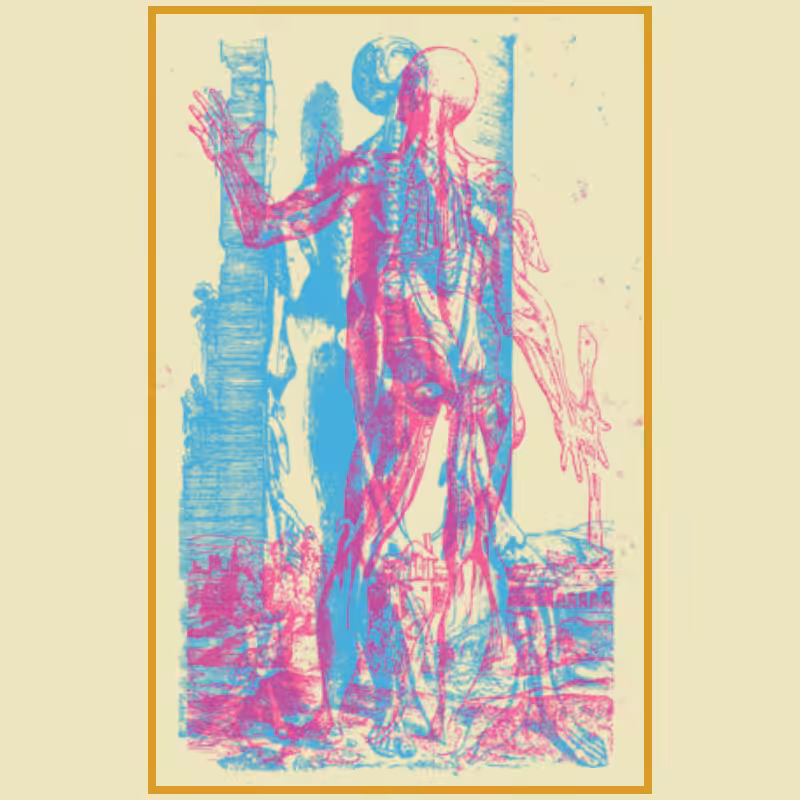 Anatomyk #9