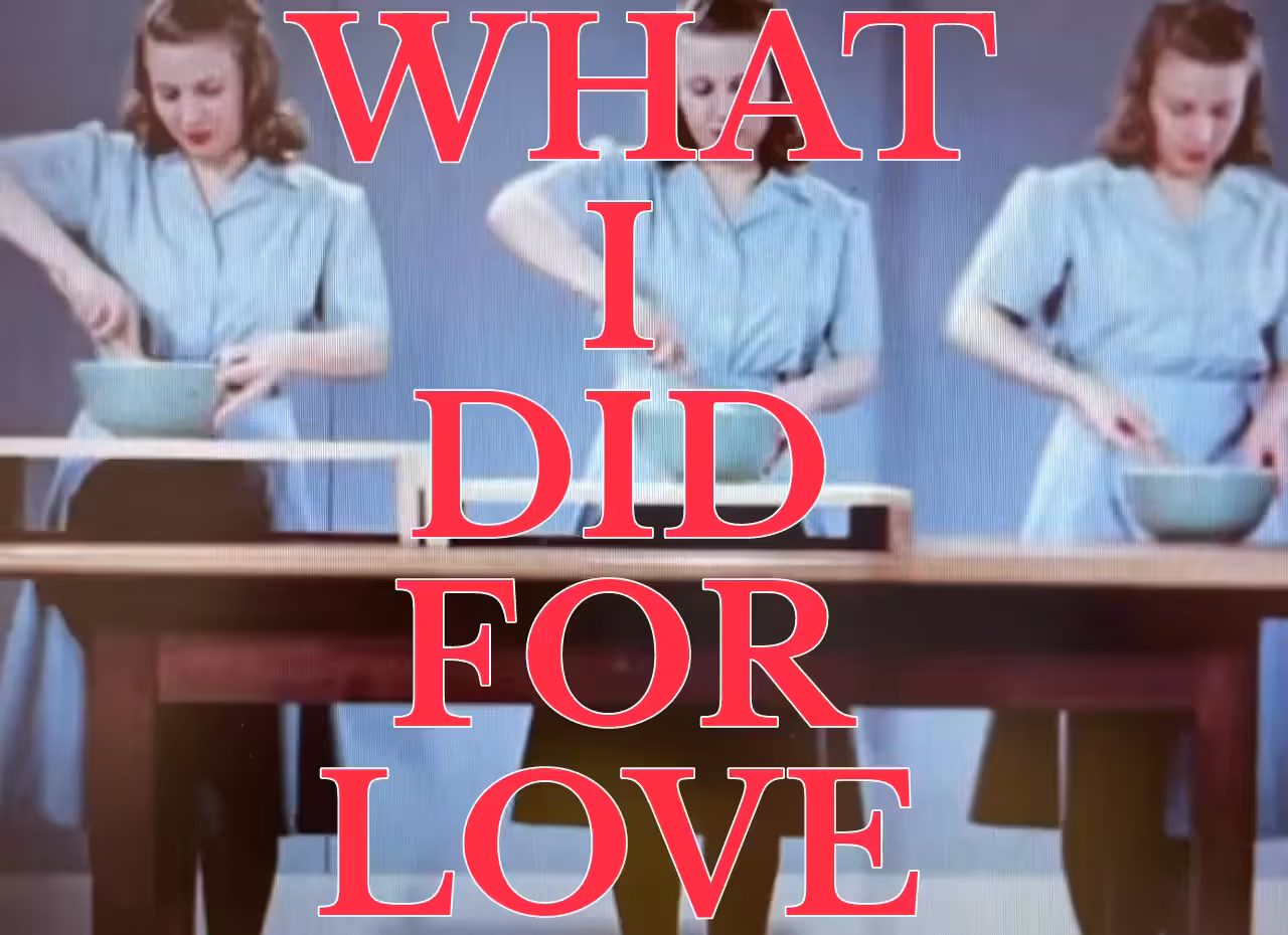 What I Did For Love
